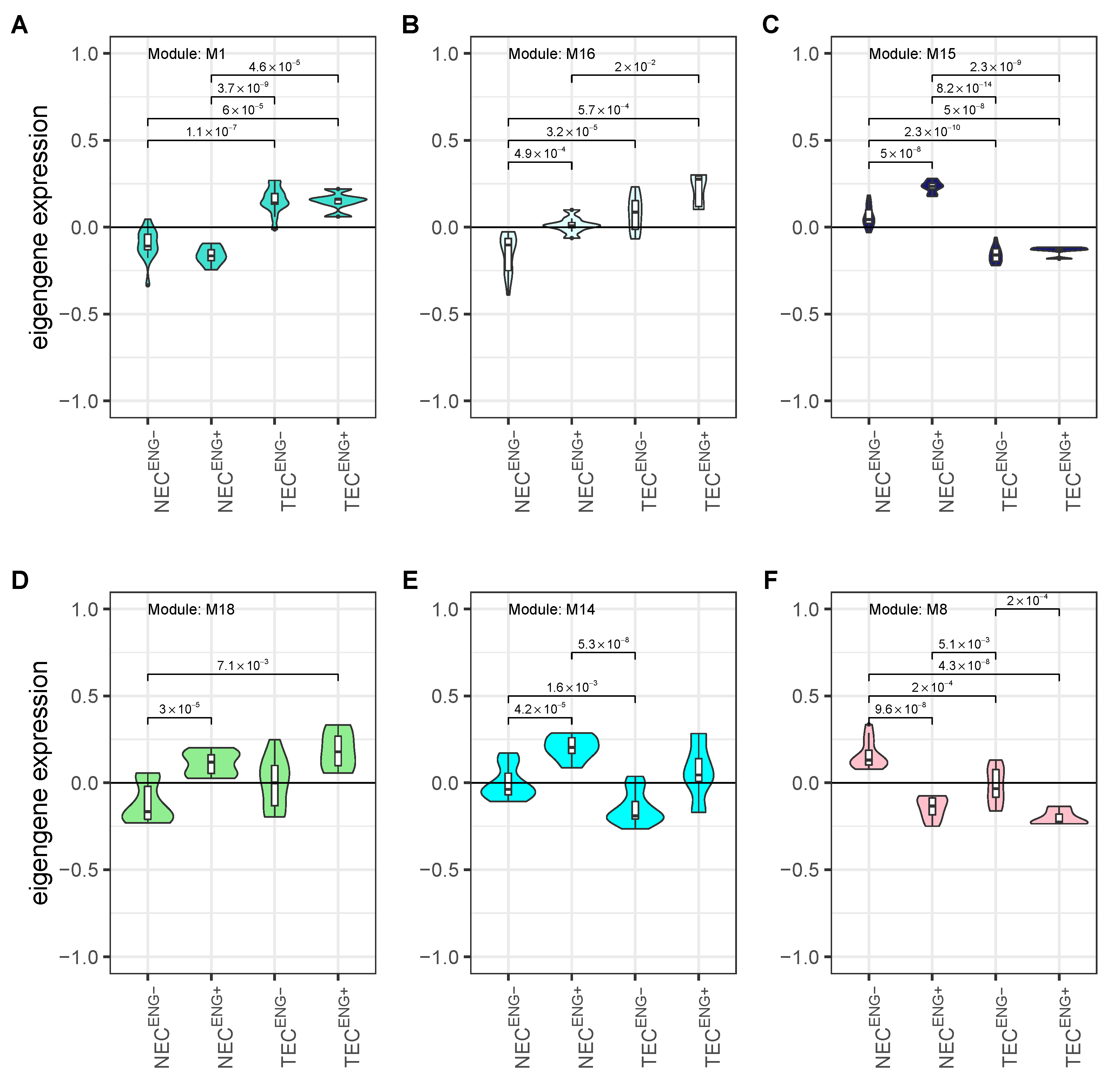 Cancers 13 01768 g006
