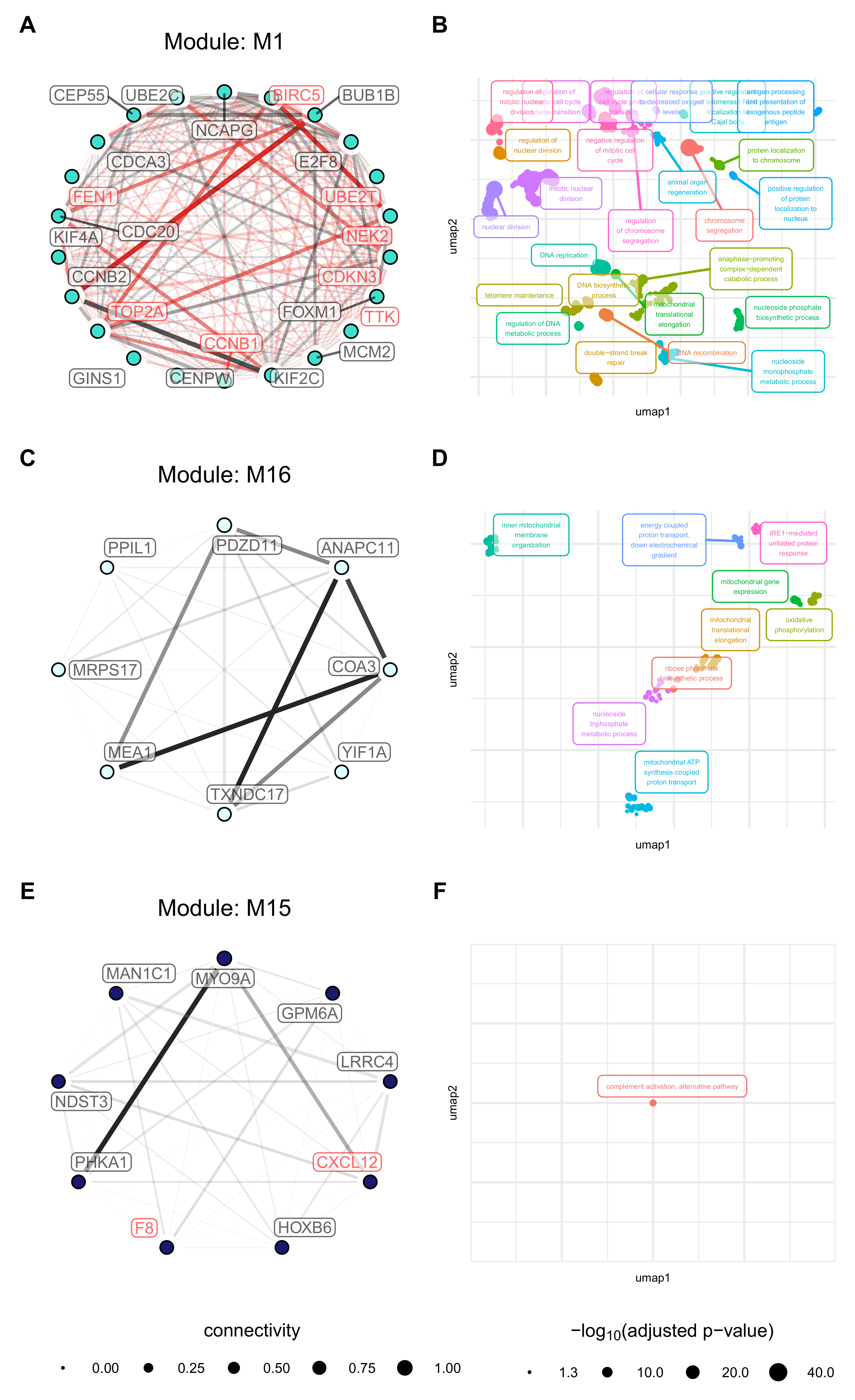 Cancers 13 01768 g007