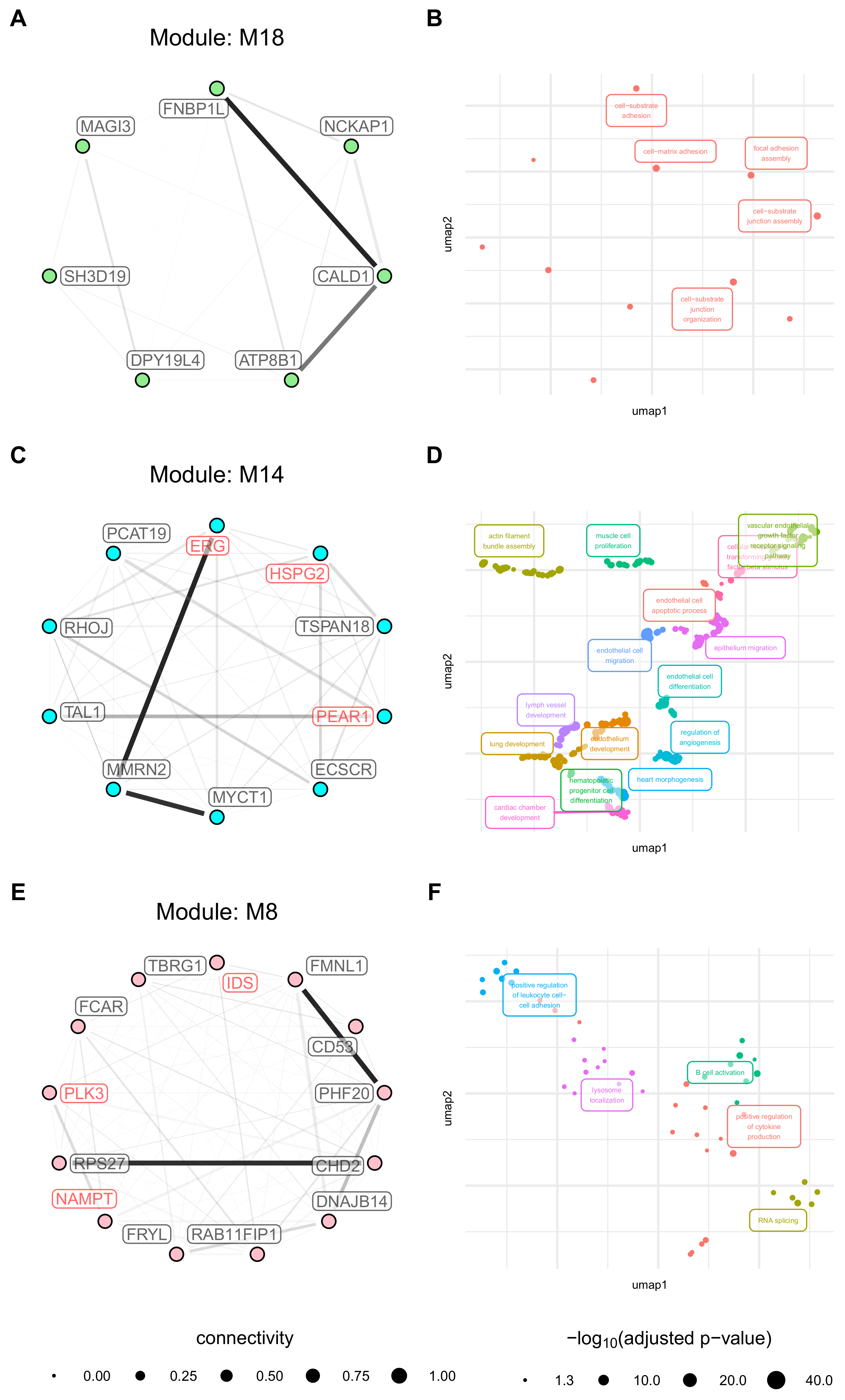 Cancers 13 01768 g008