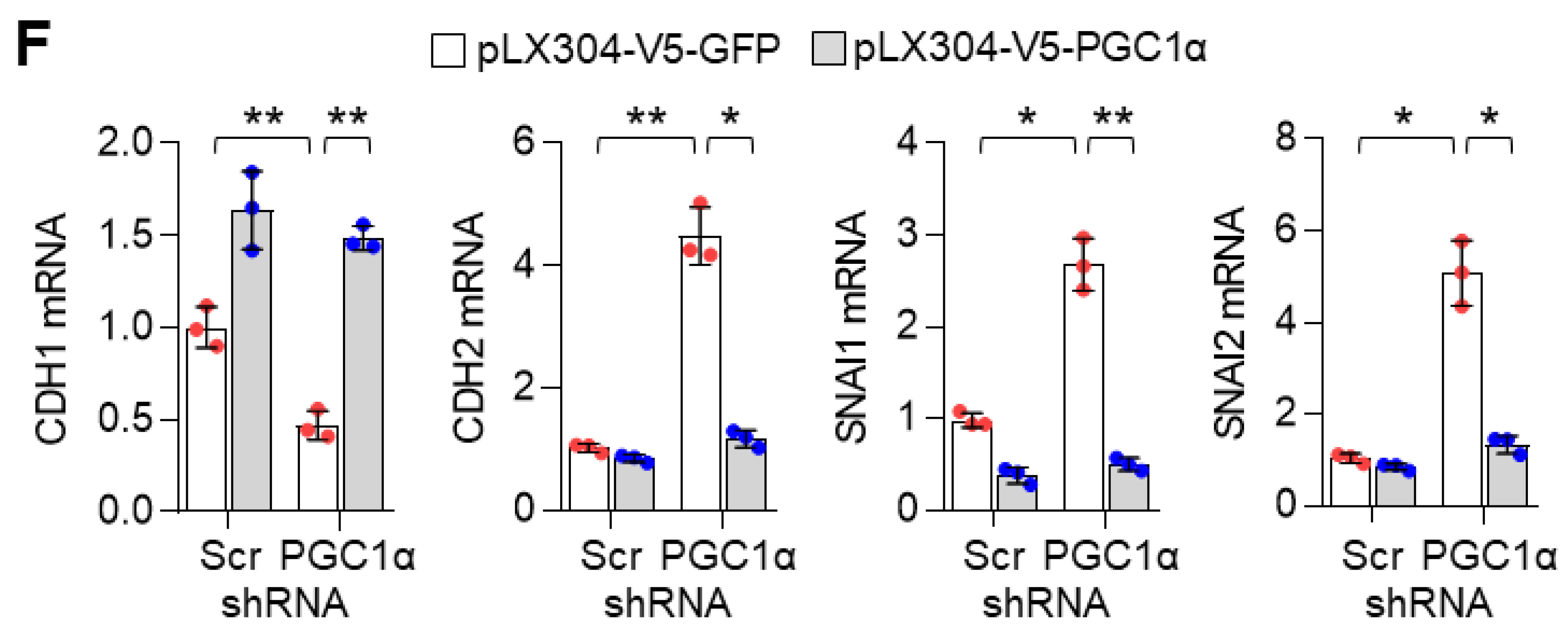 Cancers 13 01772 g001b