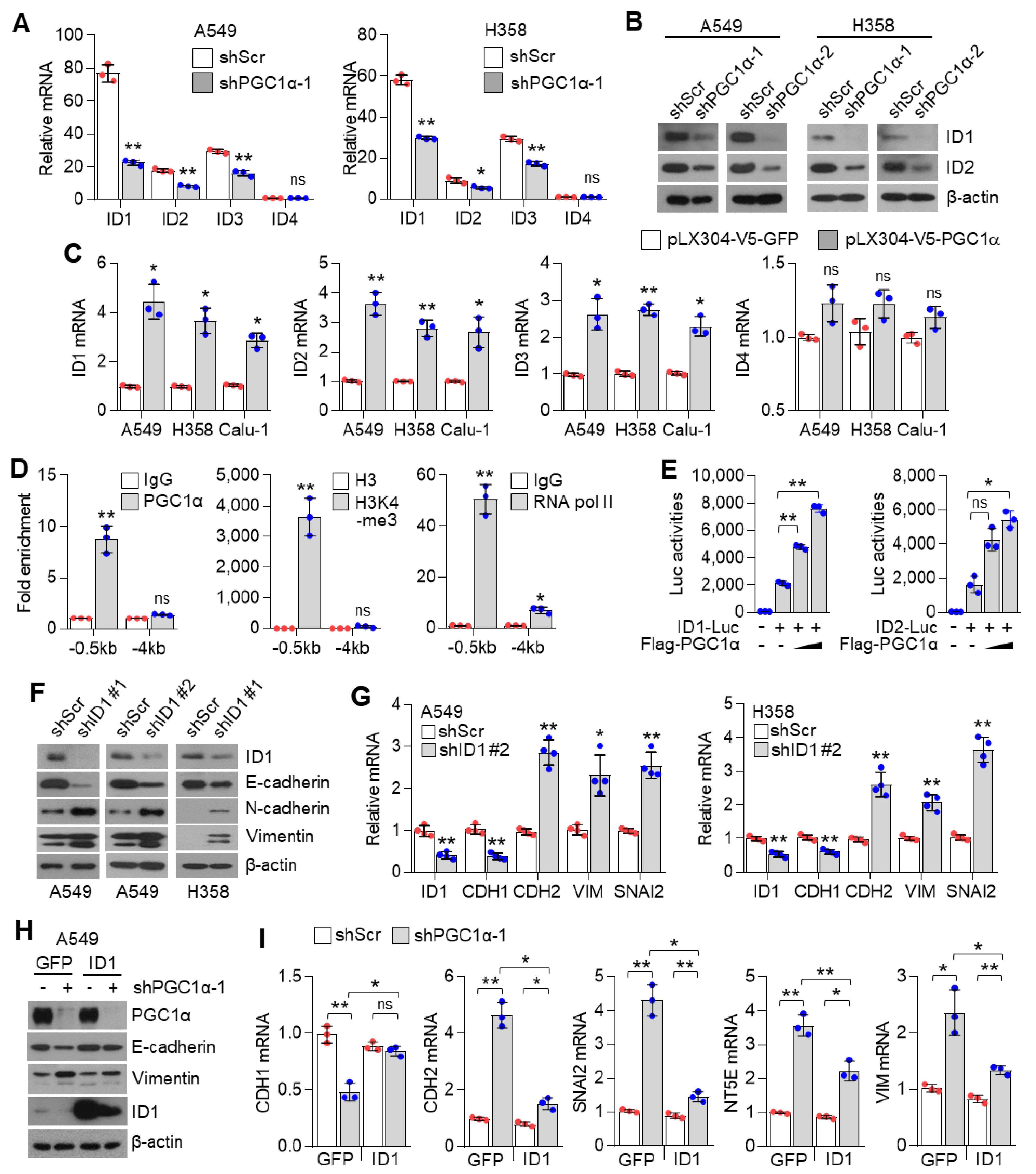Cancers 13 01772 g004