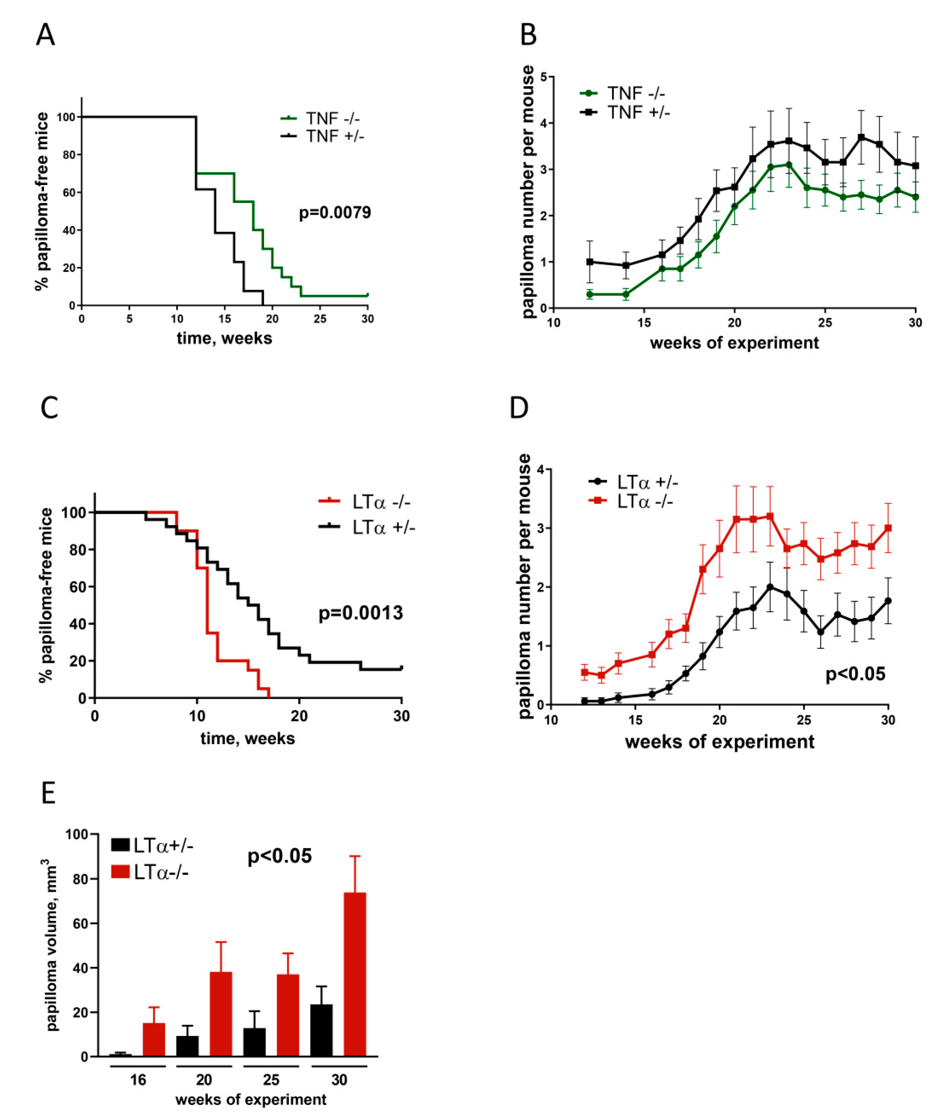 Cancers 13 01775 g002