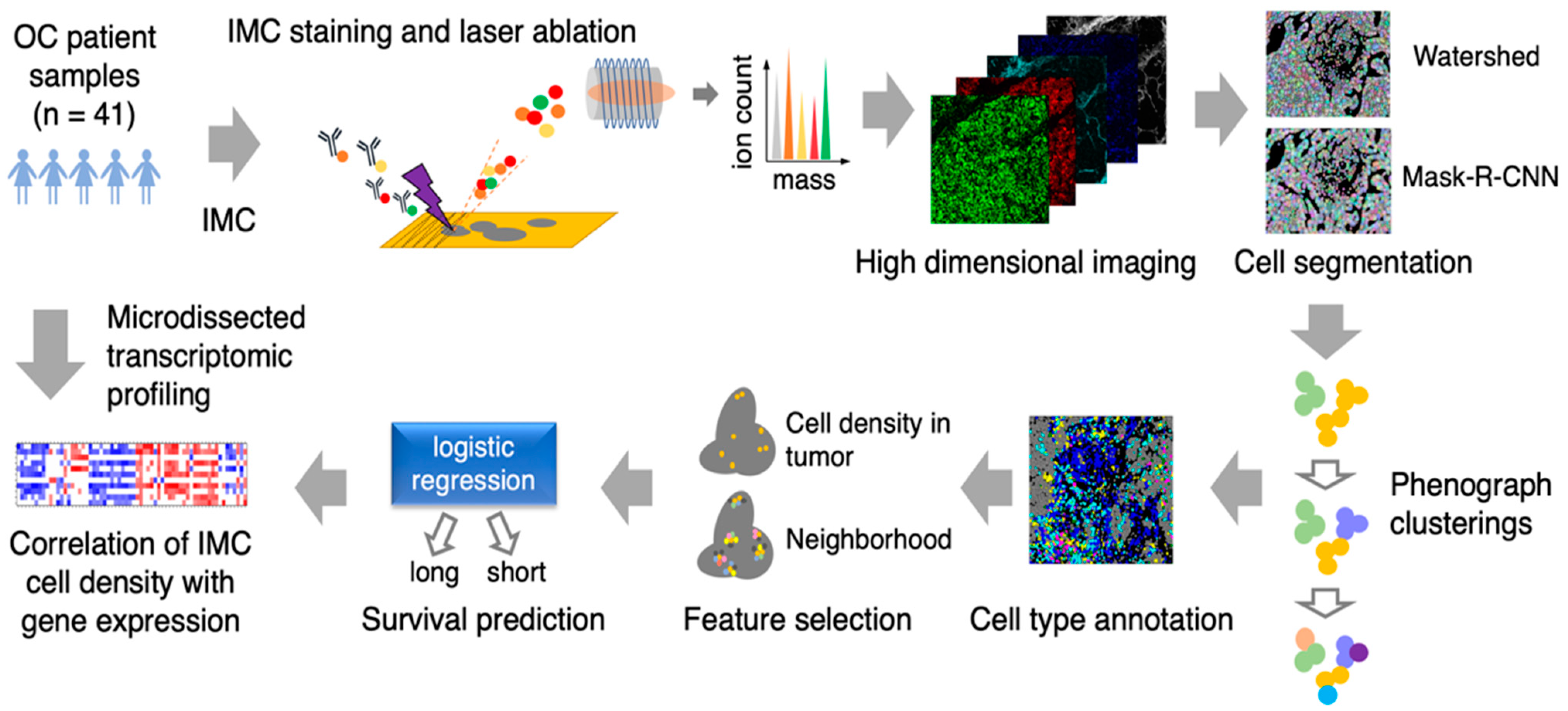 Cancers 13 01777 g001