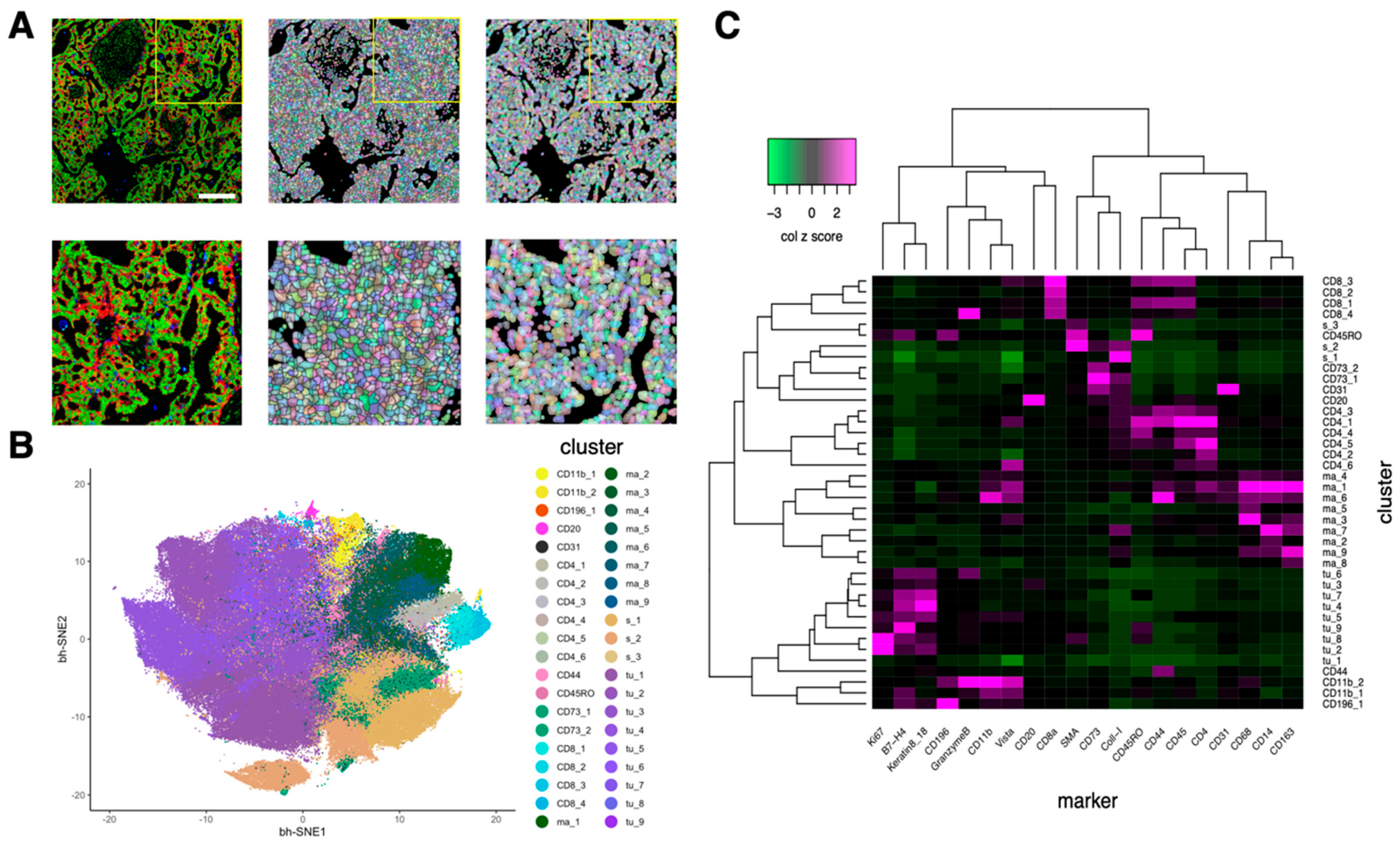 Cancers 13 01777 g003
