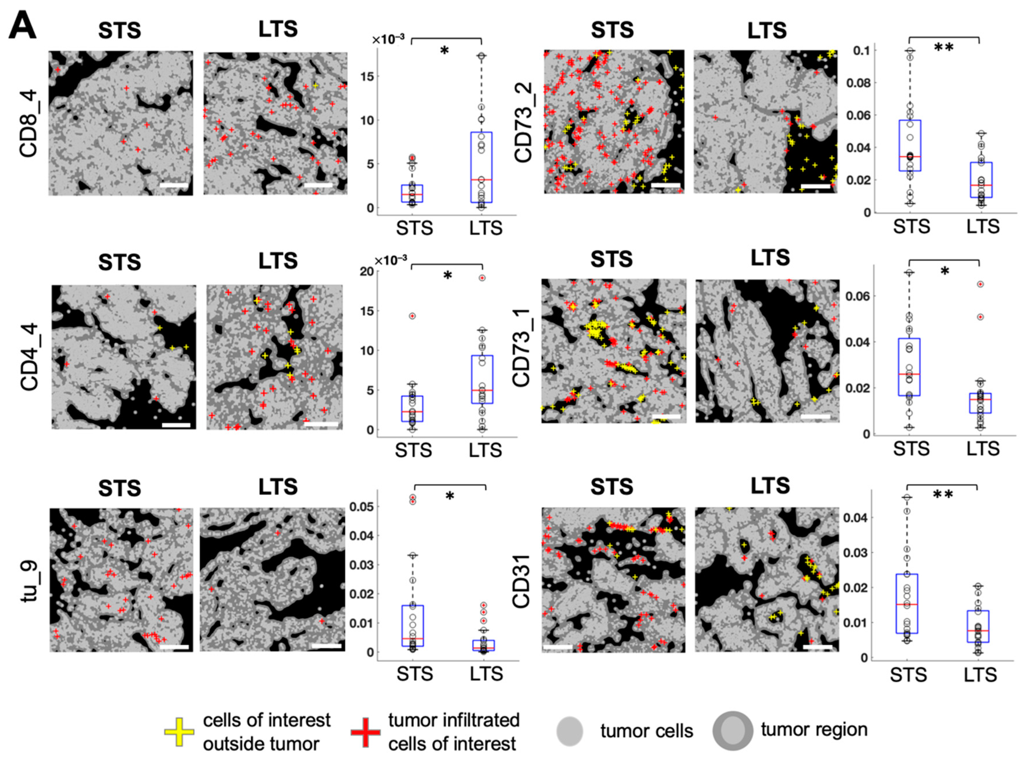 Cancers 13 01777 g005a
