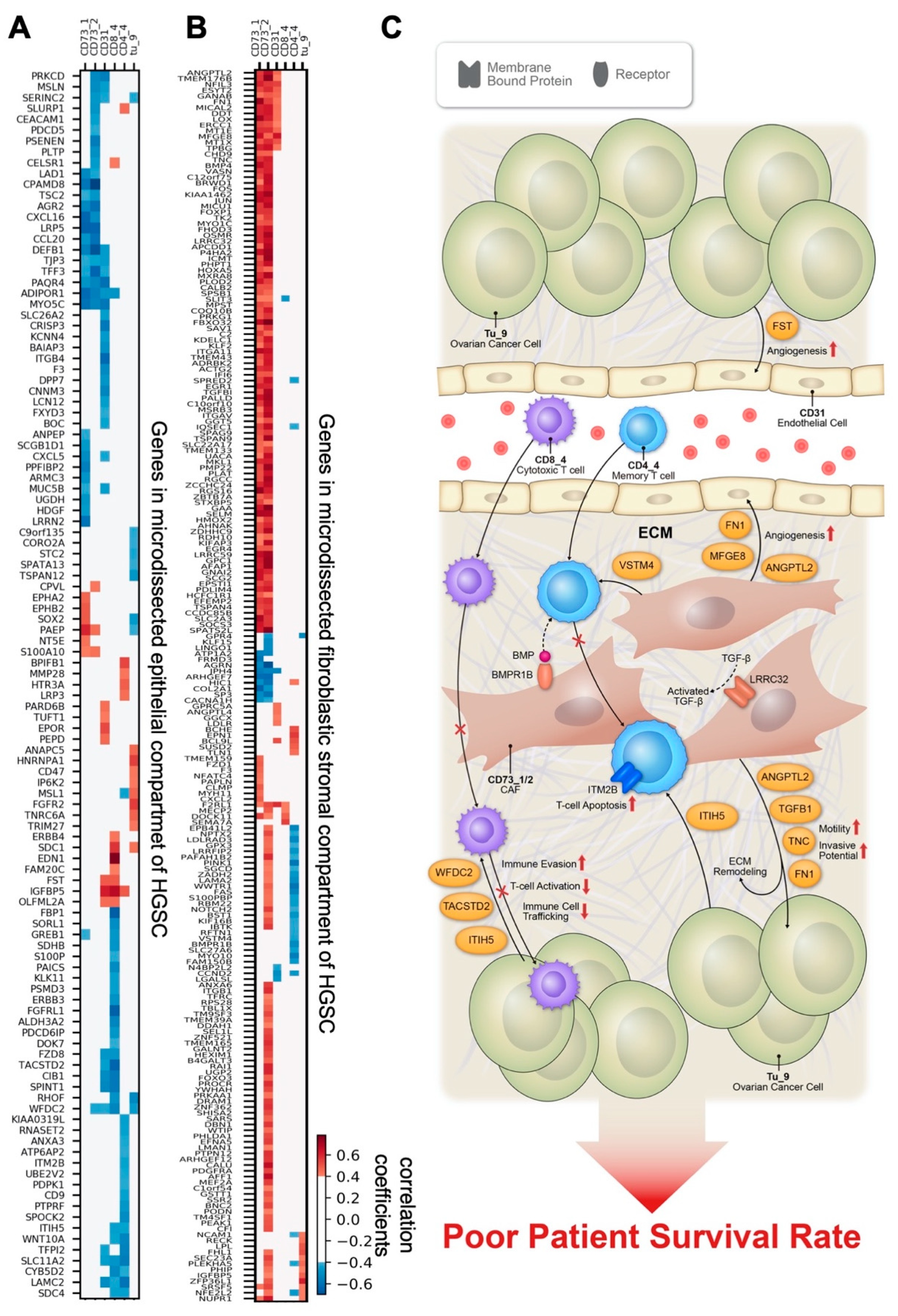 Cancers 13 01777 g007