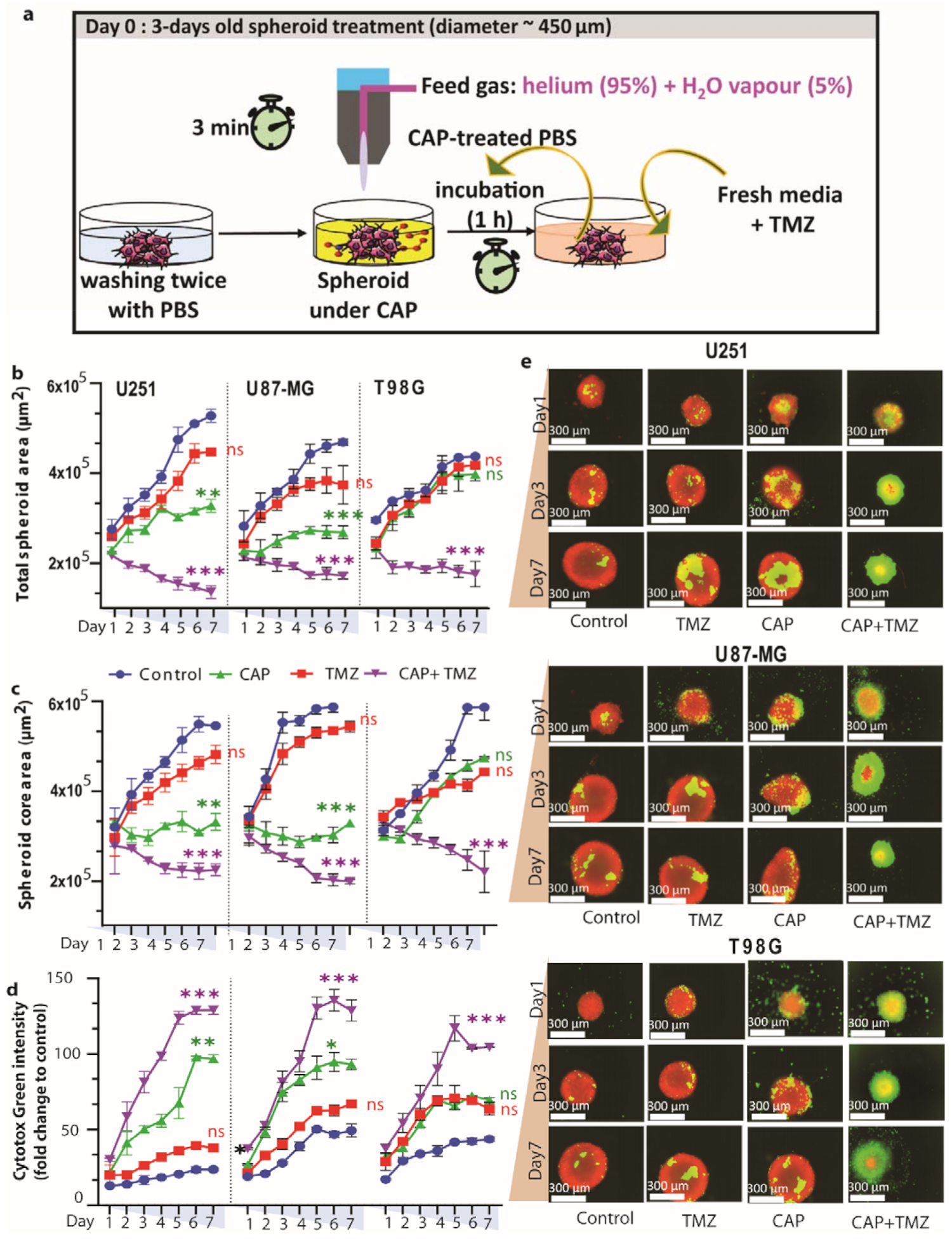 Cancers 13 01780 g003 Cancers 13 01780 g003