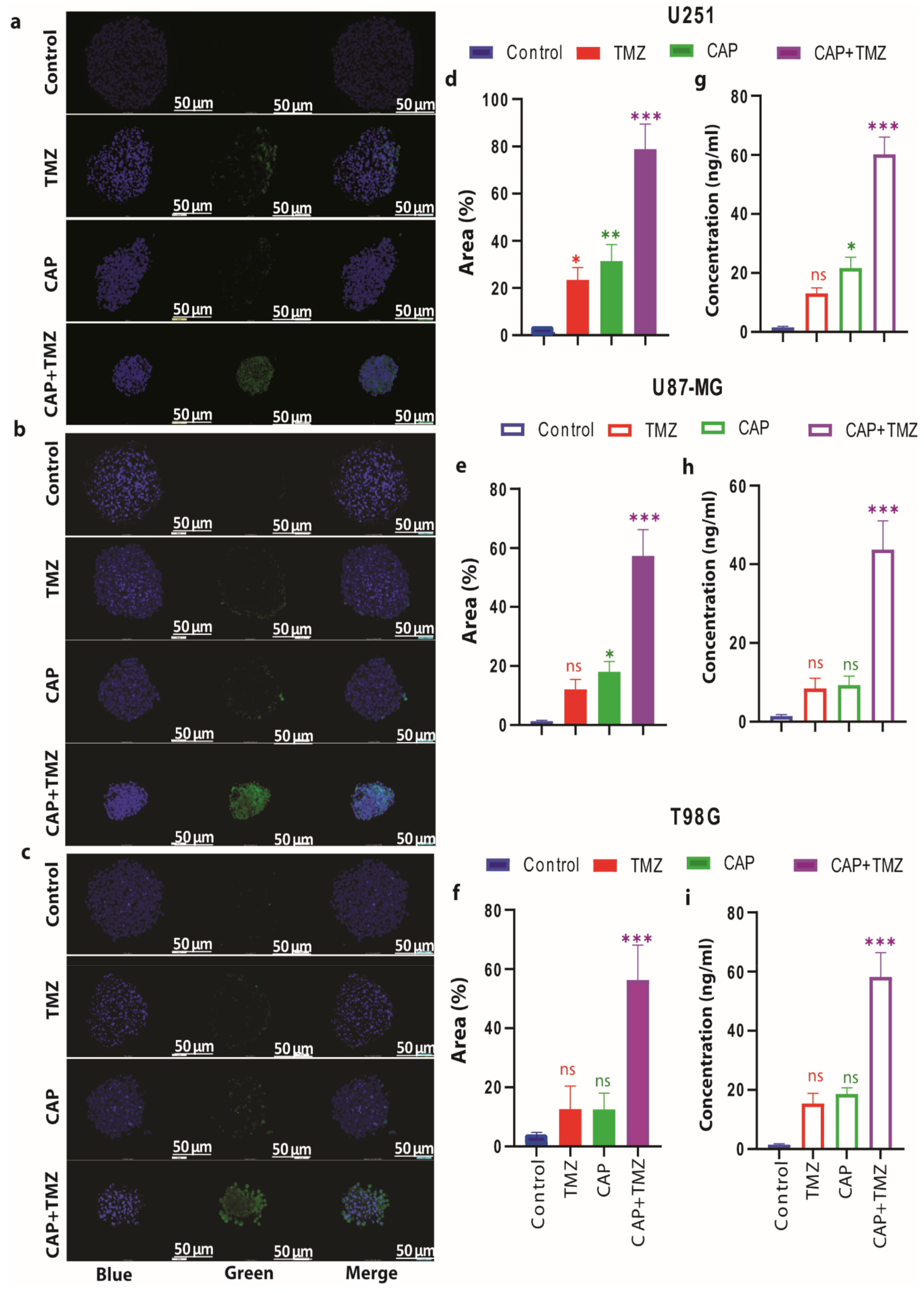 cancers free full text cold atmospheric plasma increases temozolomide sensitivity of three dimensional glioblastoma spheroids via oxidative stress mediated dna damage html