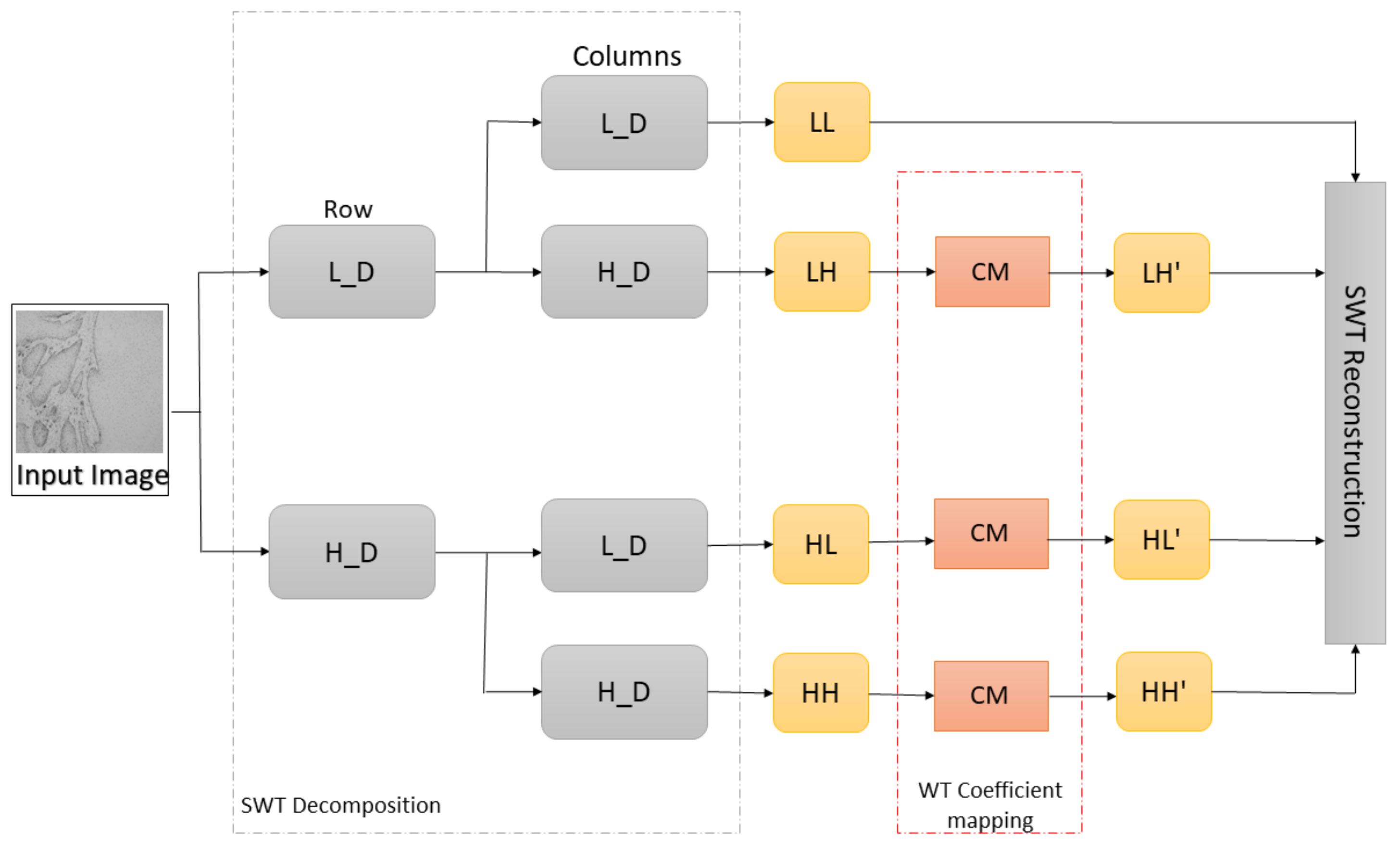 Cancers 13 01784 g004 Cancers 13 01784 g004