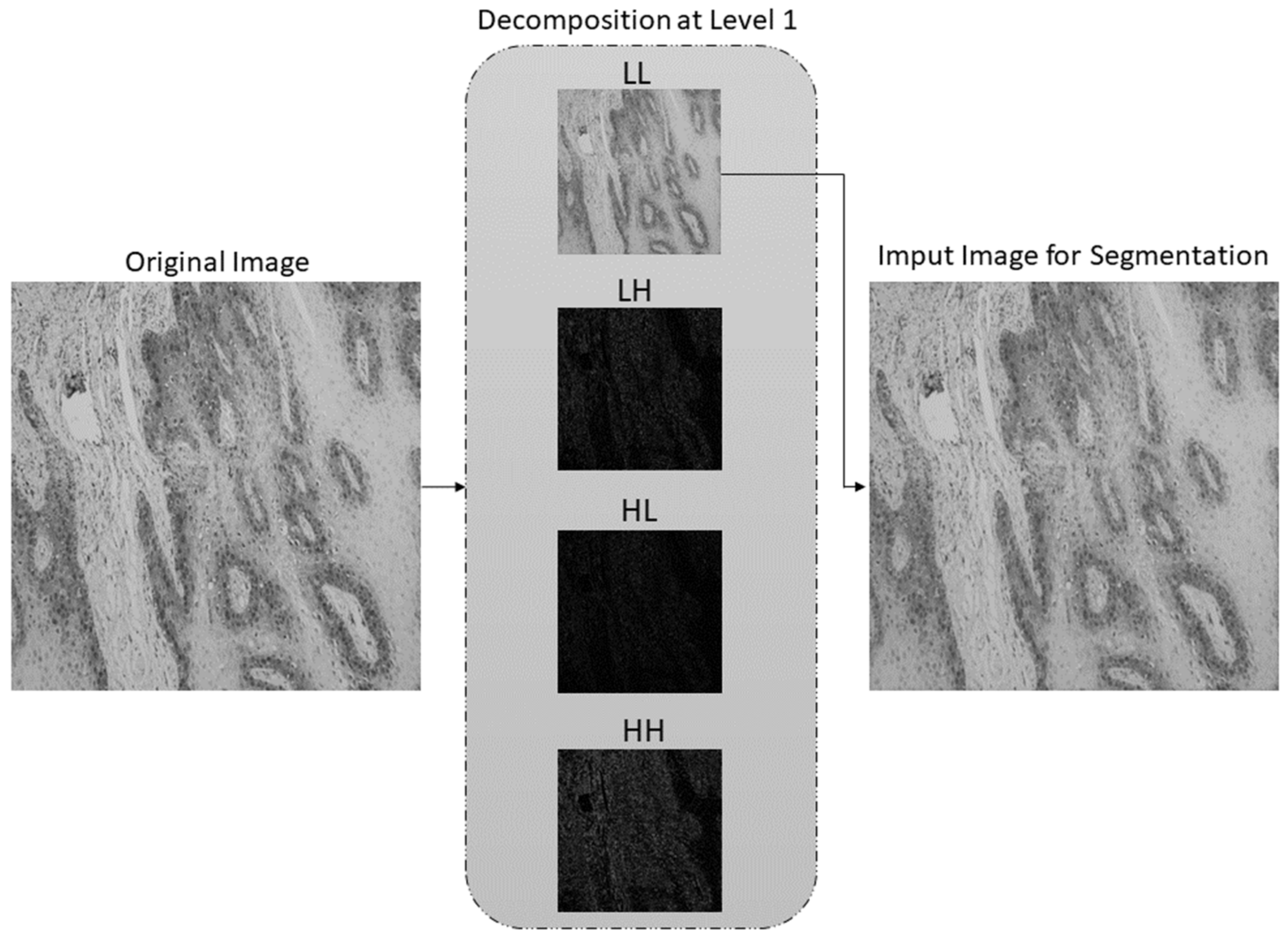 Cancers 13 01784 g009 Cancers 13 01784 g009
