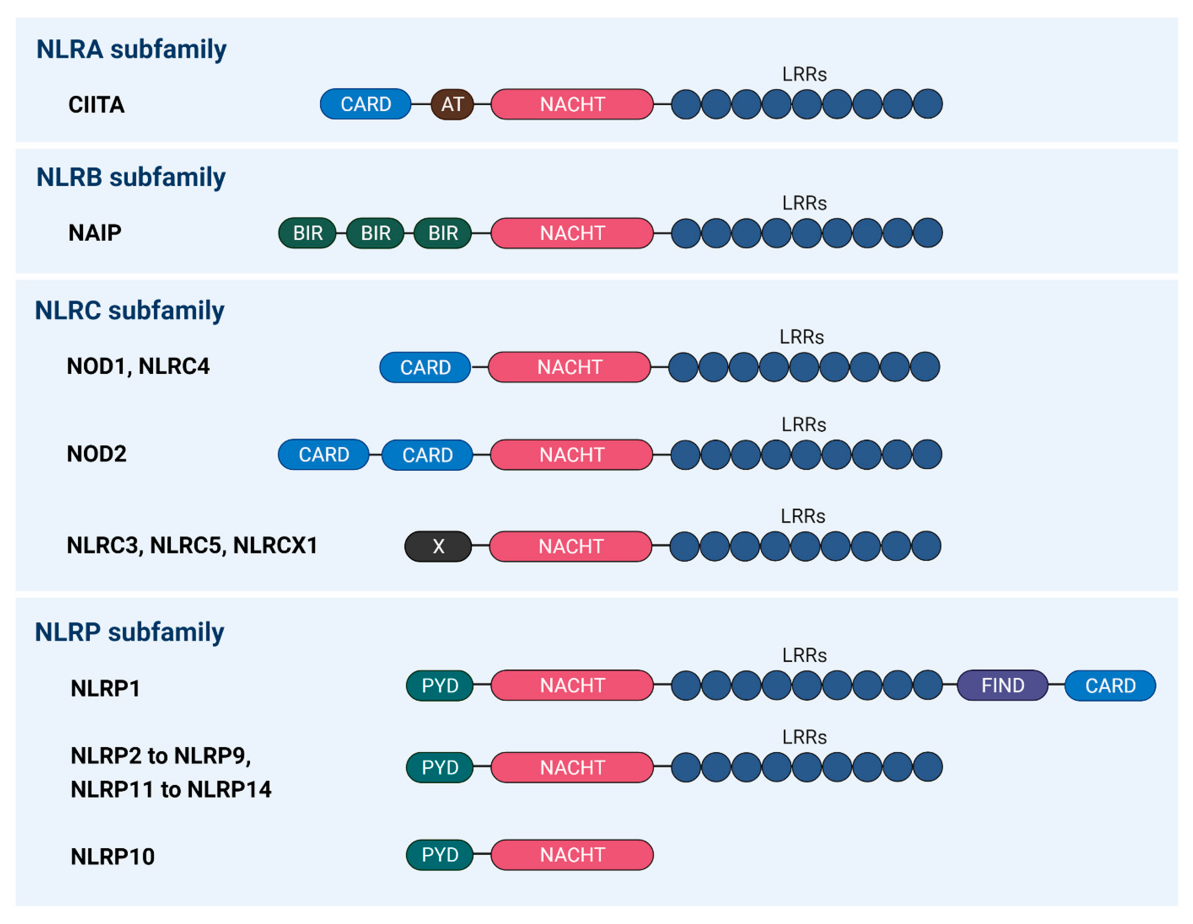 Cancers 13 01786 g001