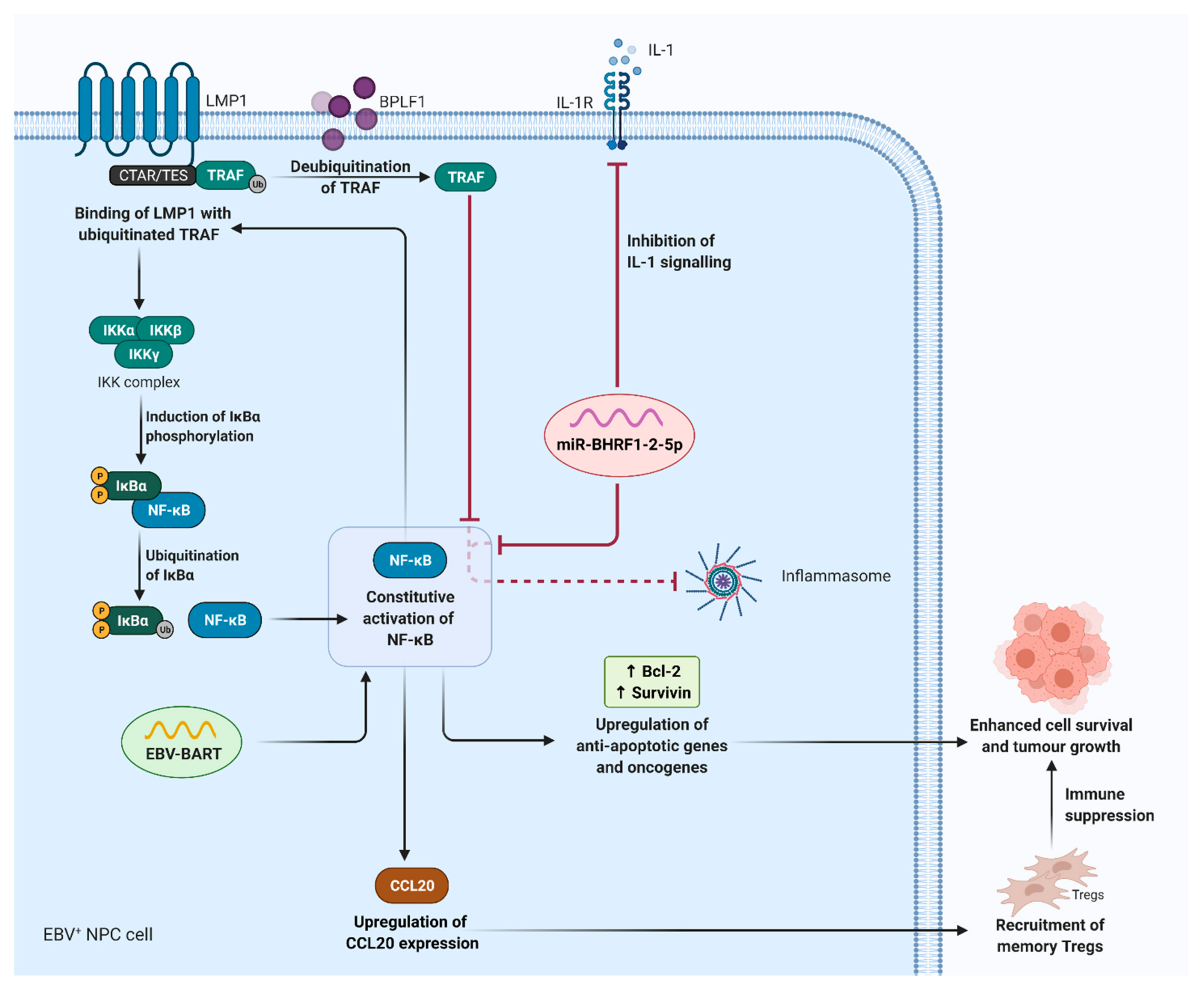 Cancers 13 01786 g004