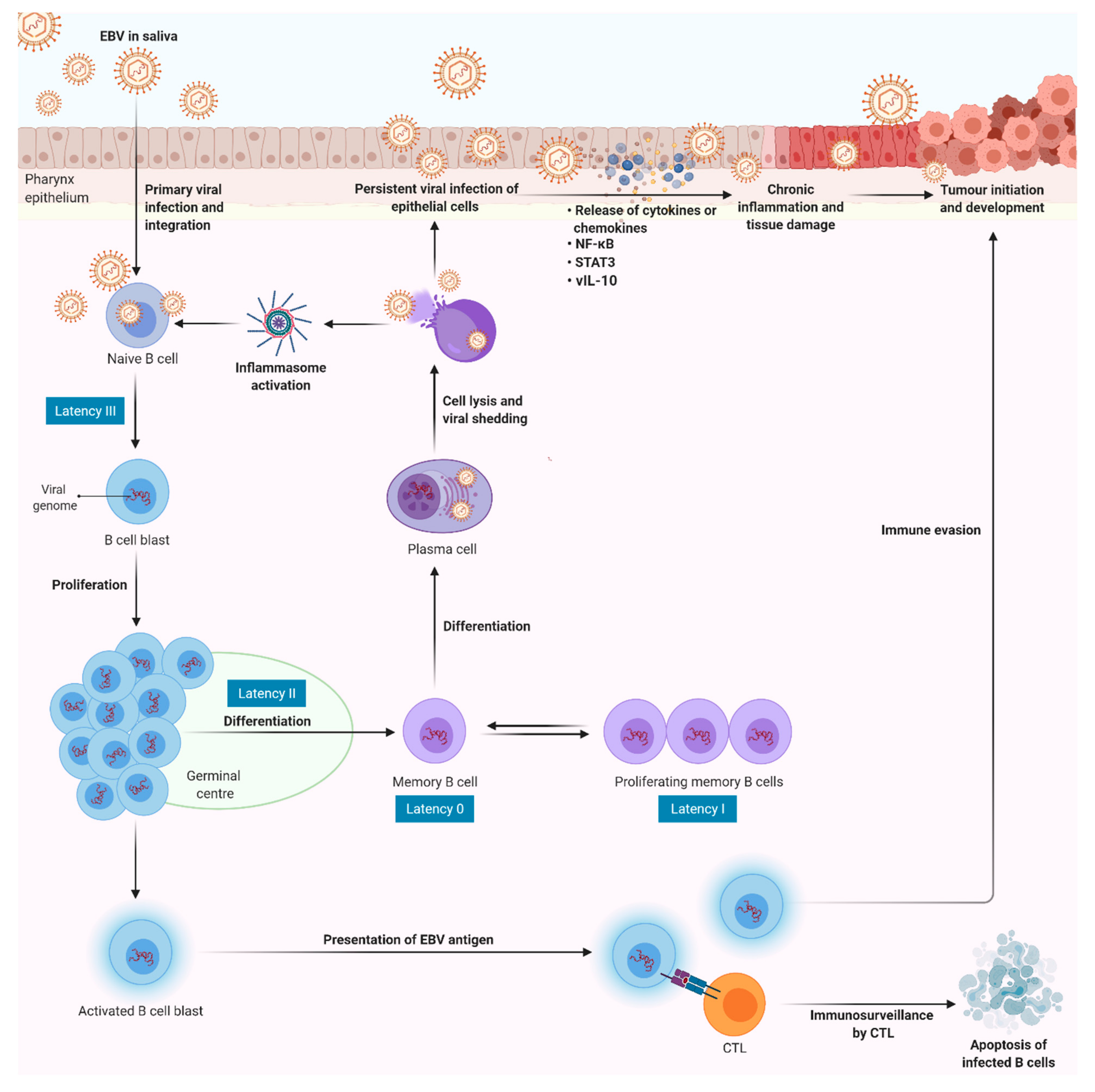 Cancers 13 01786 g005