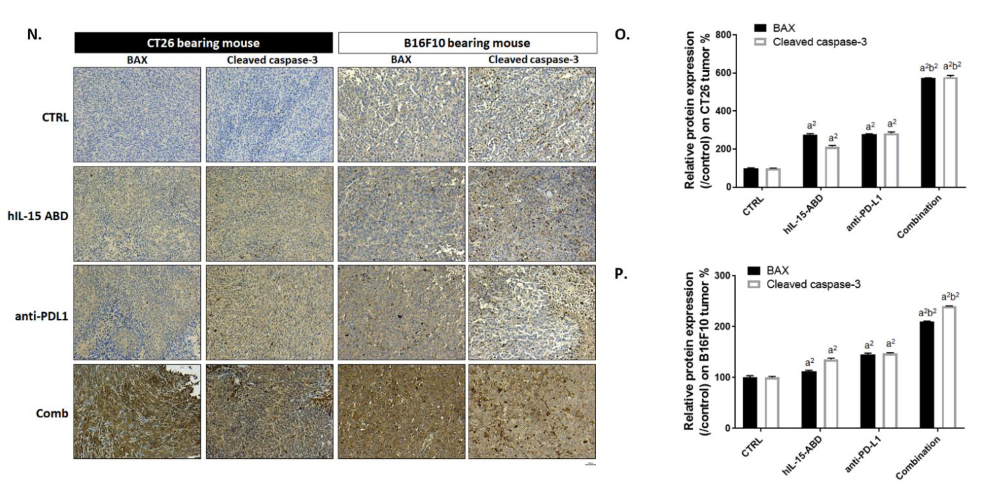 Cancers 13 01789 g004b
