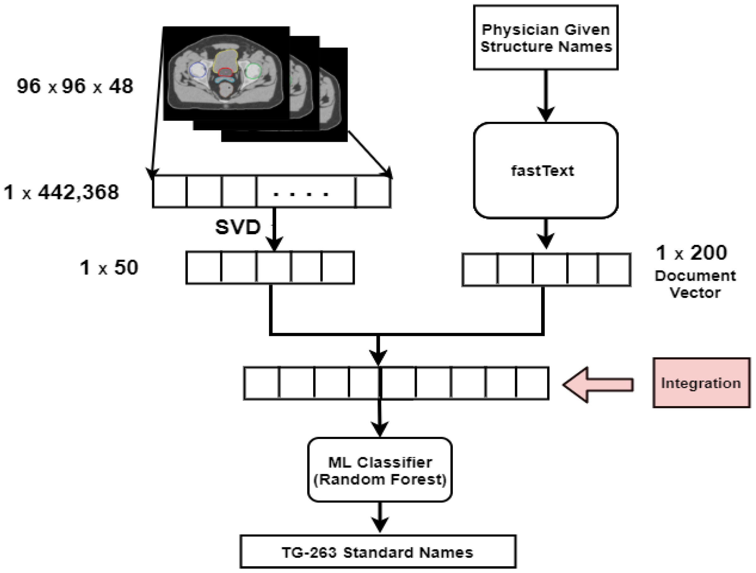 Cancers 13 01796 g001 Cancers 13 01796 g001