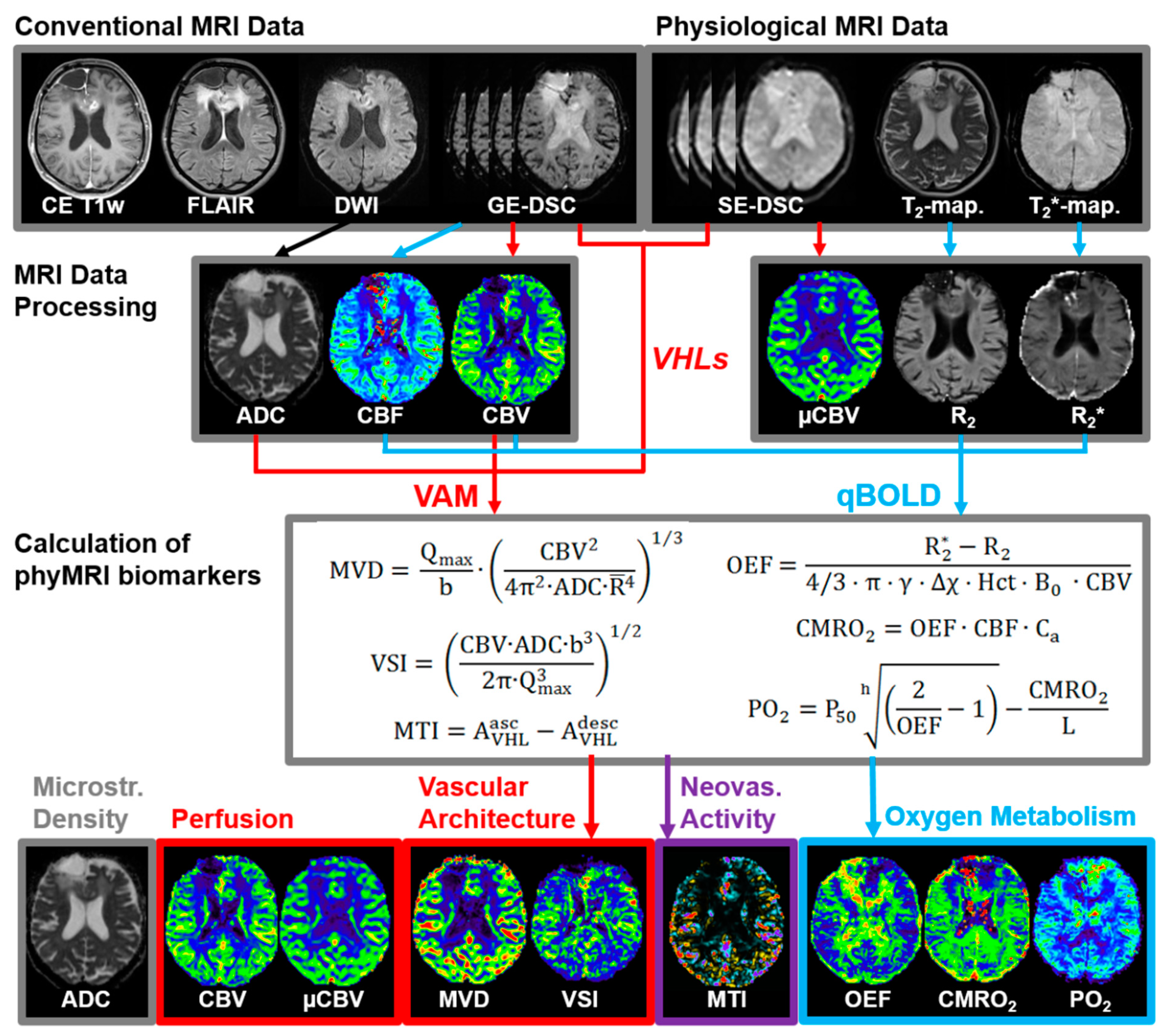 Cancers 13 01797 g001 Cancers 13 01797 g001