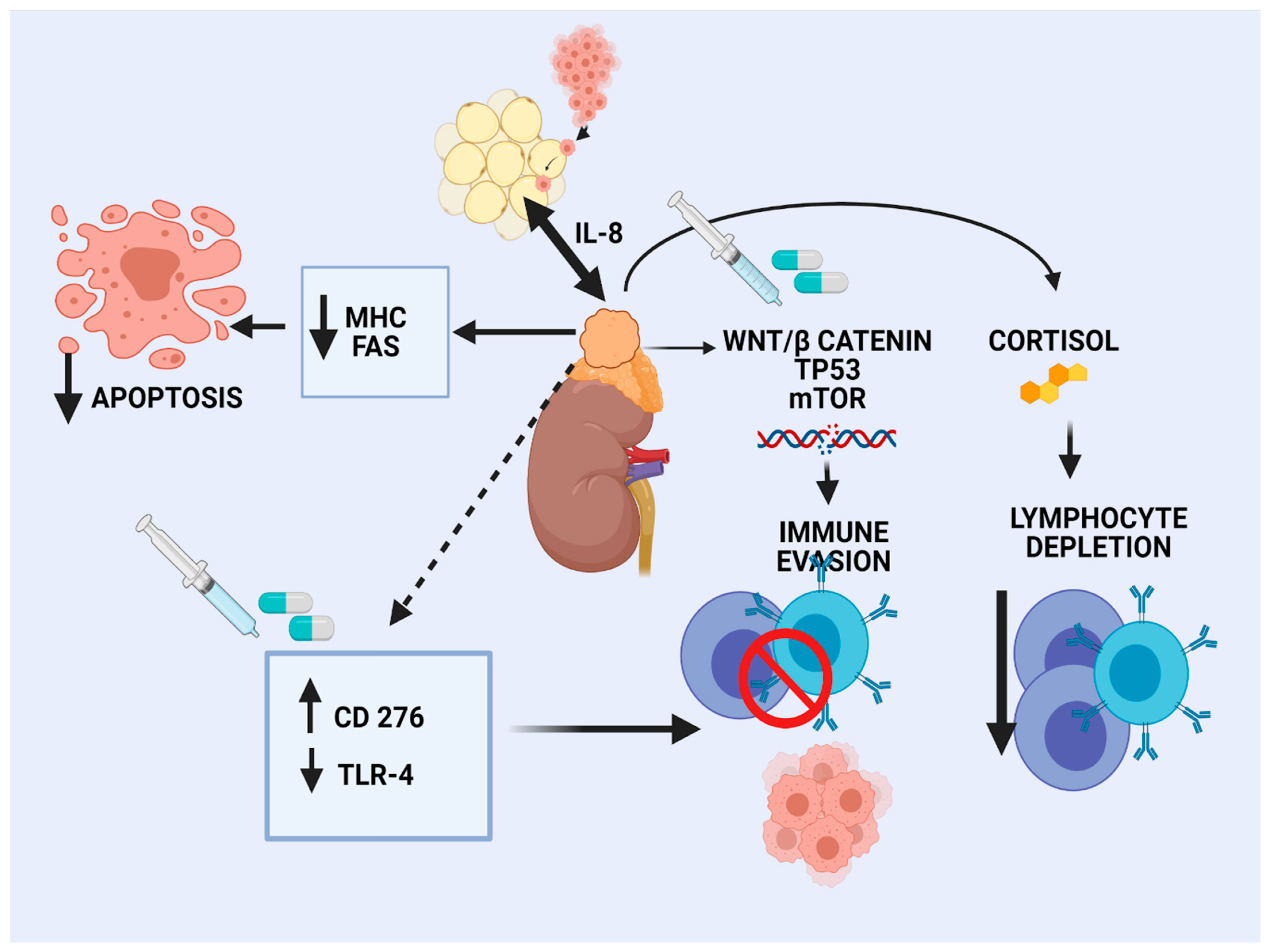 Cancers 13 01798 g001 Cancers 13 01798 g001