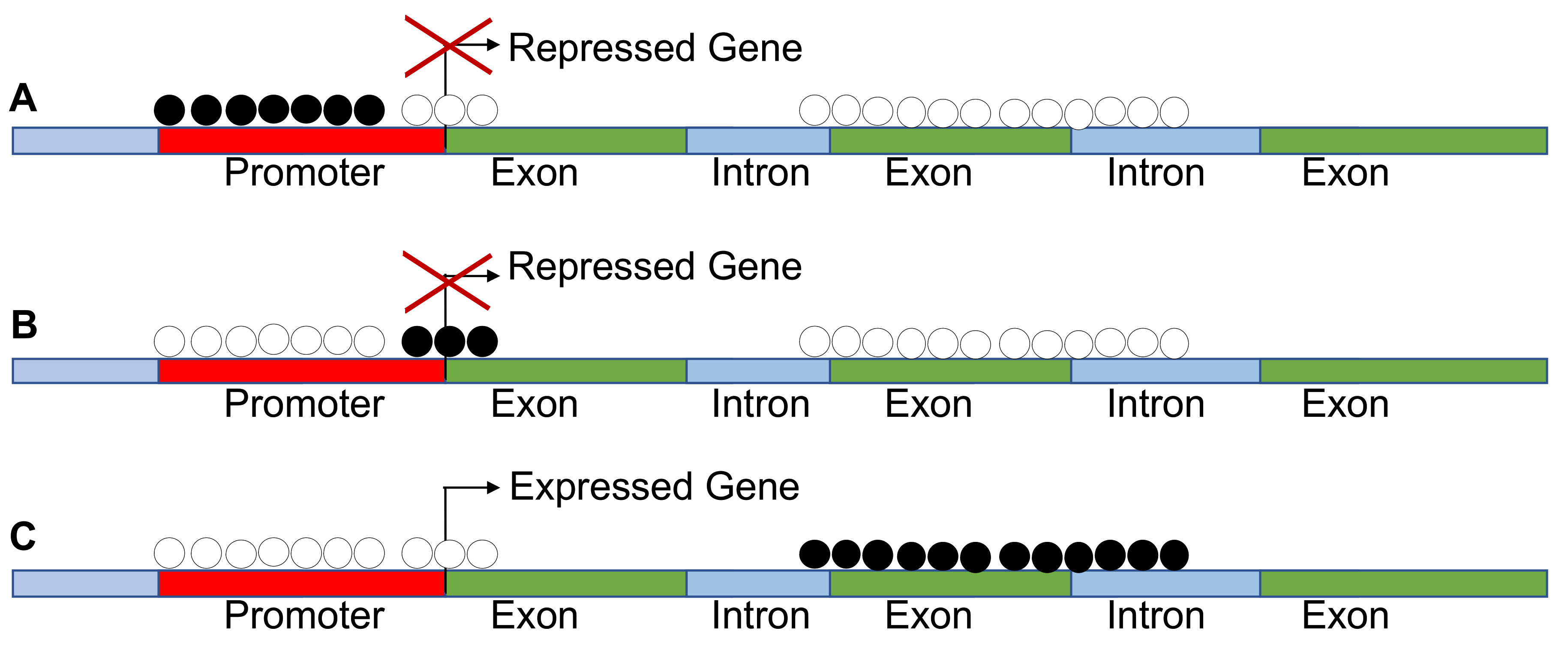 Cancers 13 01800 g002