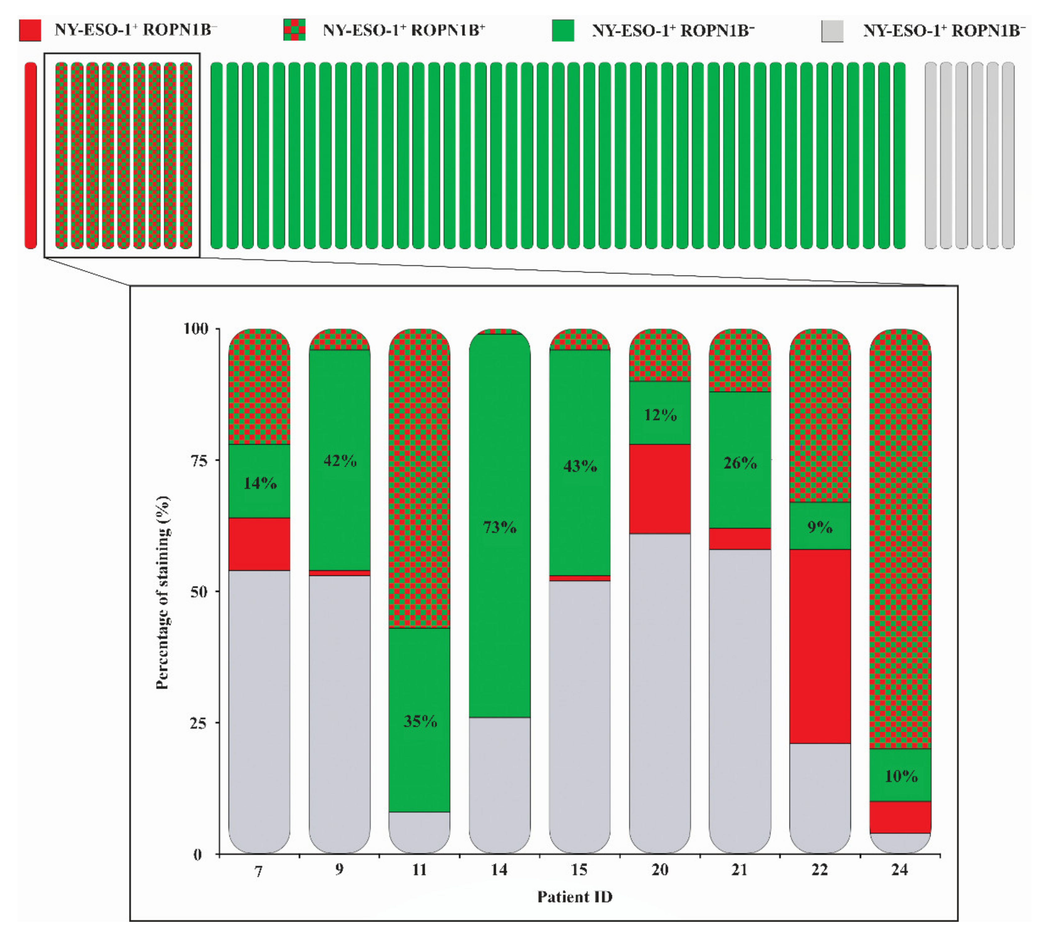 Cancers 13 01805 g003 Cancers 13 01805 g003