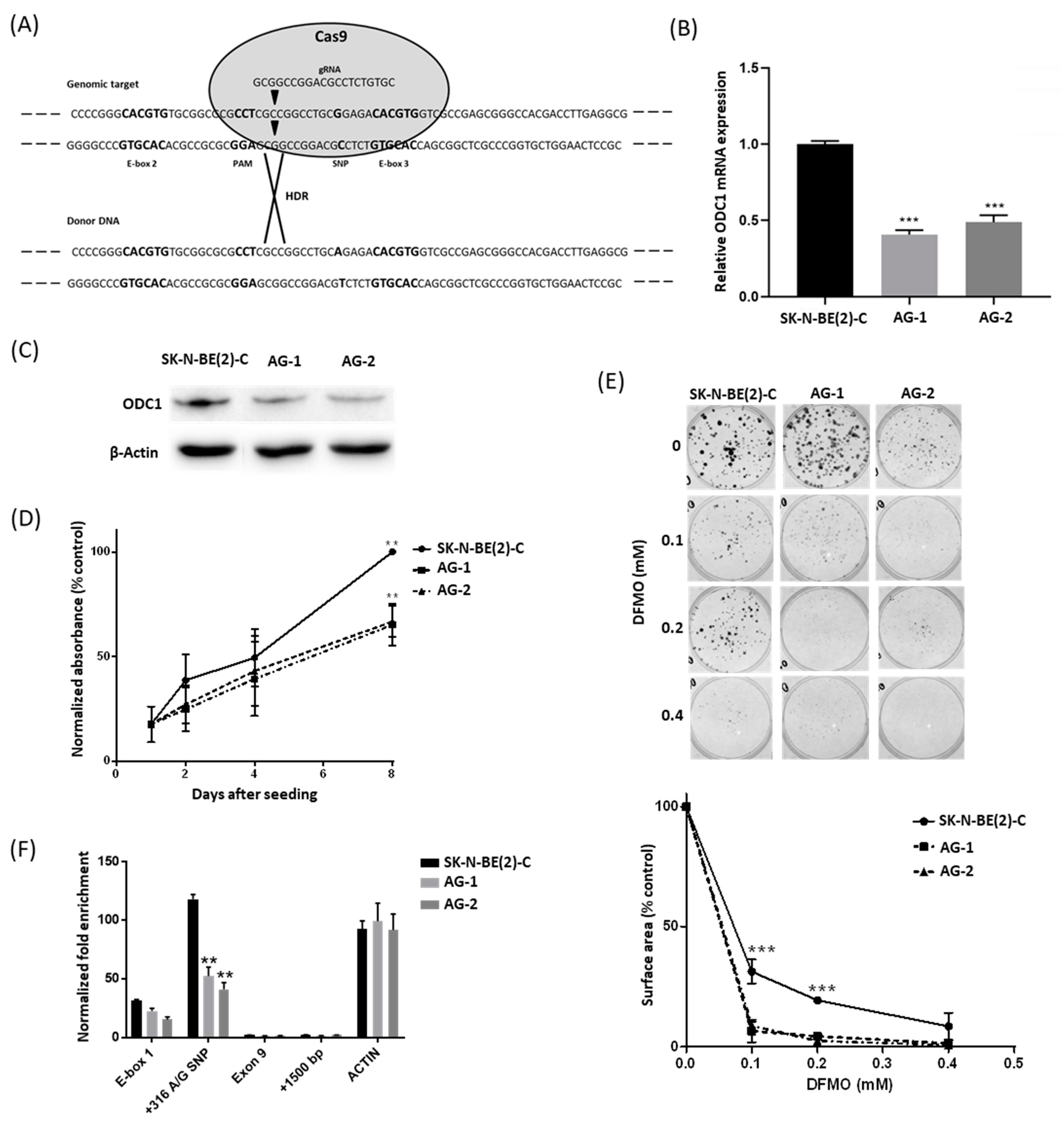 Cancers 13 01807 g001 Cancers 13 01807 g001