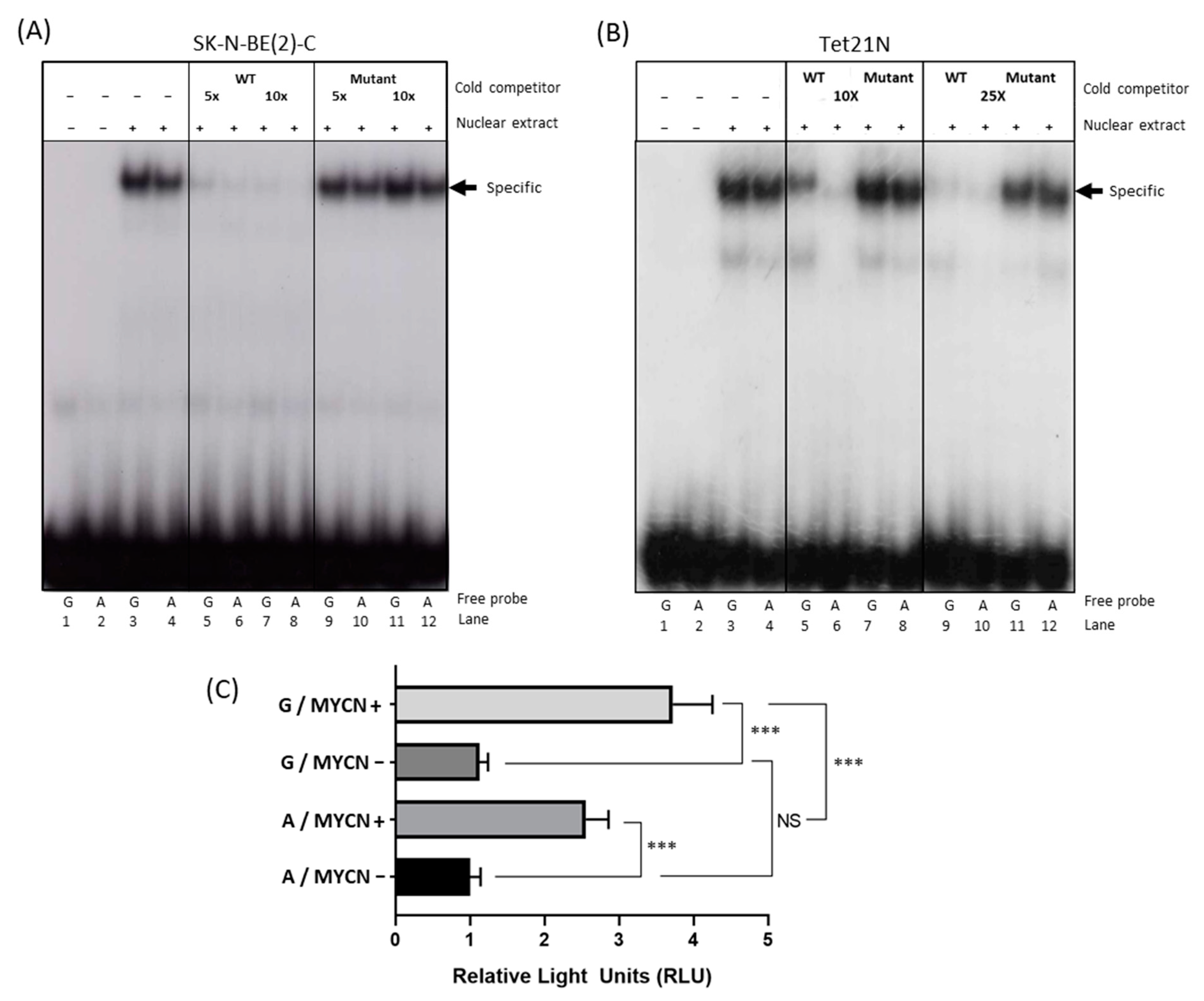 Cancers 13 01807 g002 Cancers 13 01807 g002