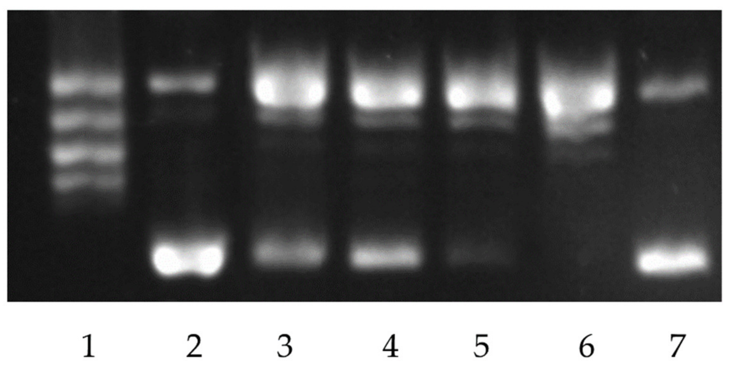 Cancers 13 01808 g005