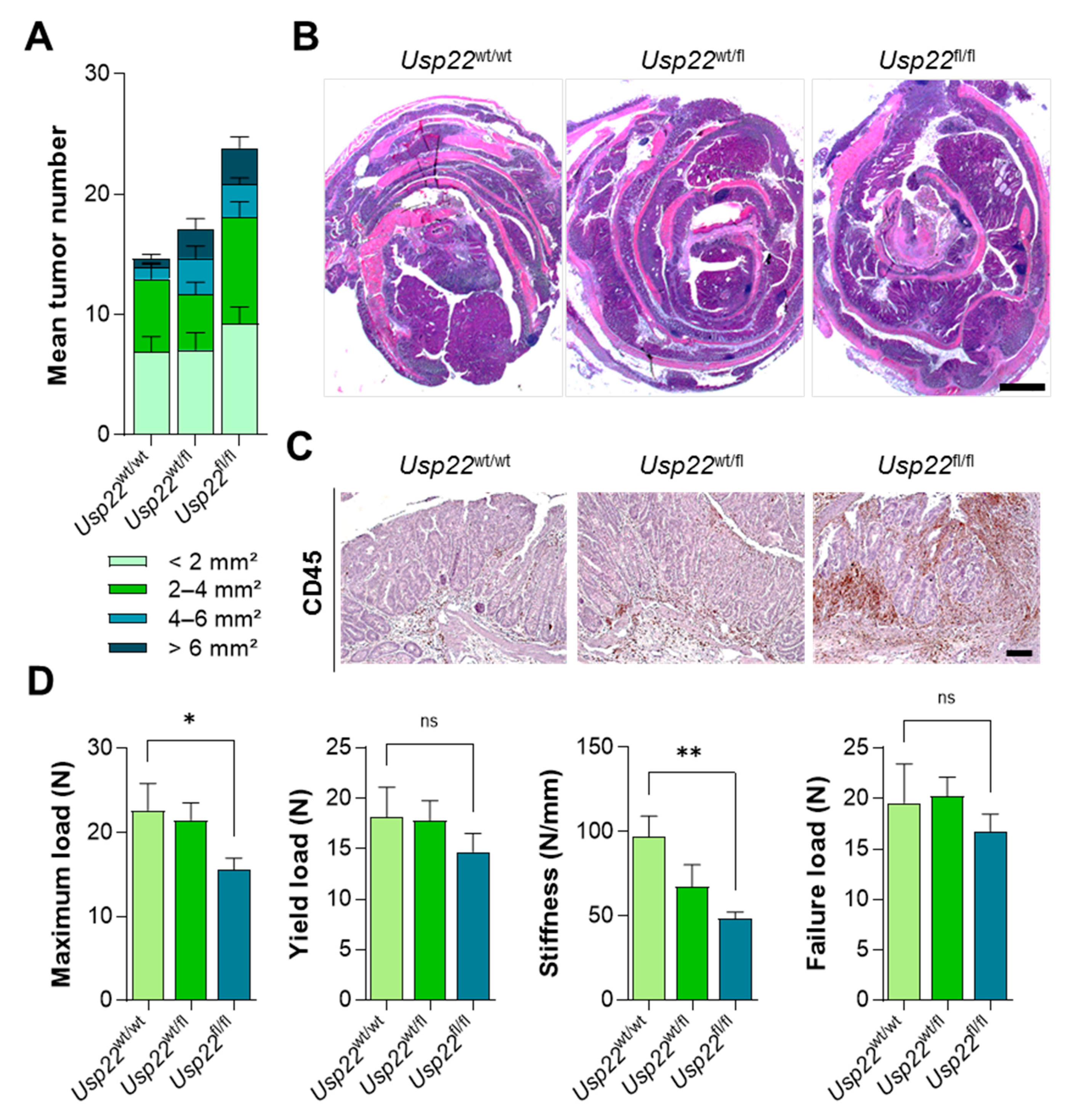 Cancers 13 01817 g004 550