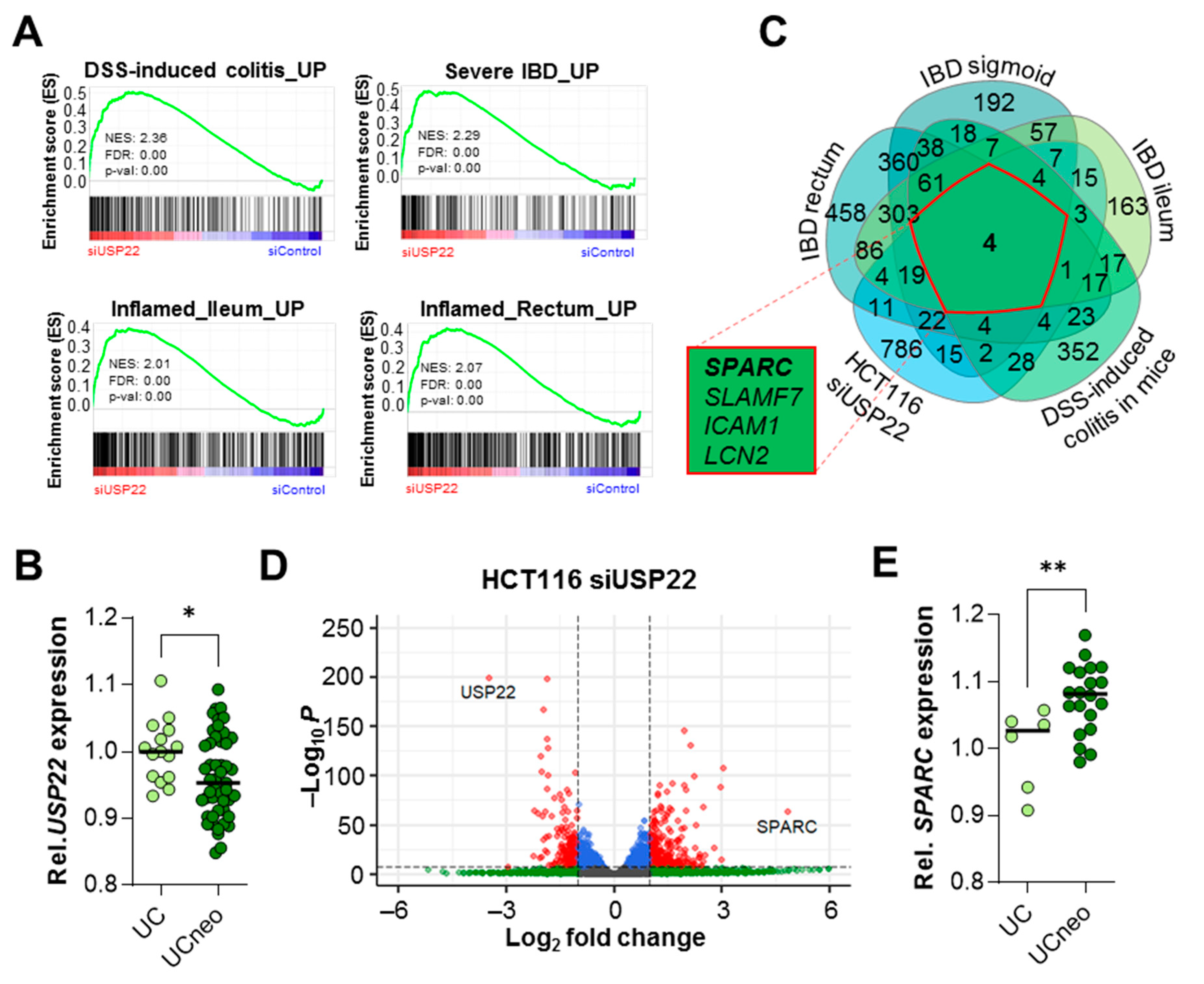 Cancers 13 01817 g005 550