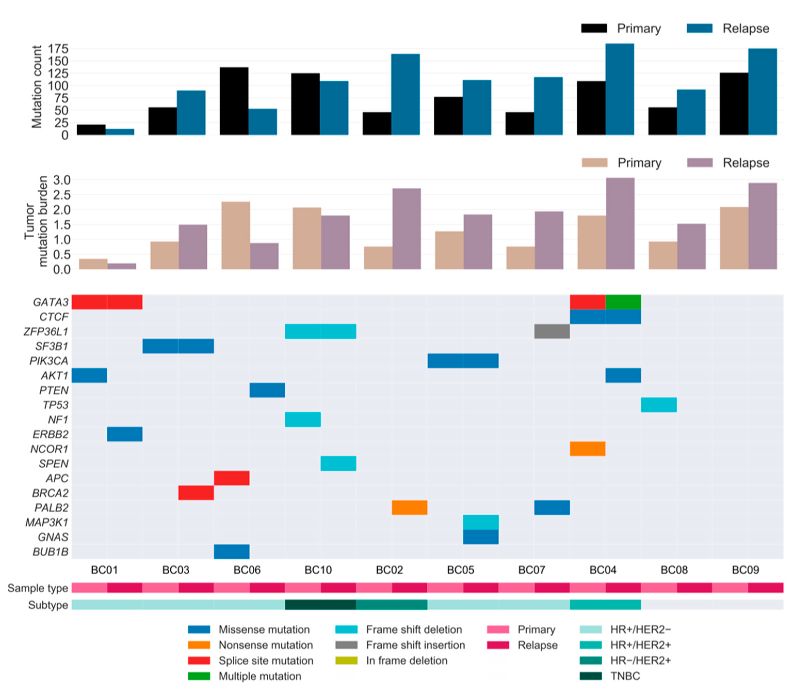 Cancers 13 01821 g003