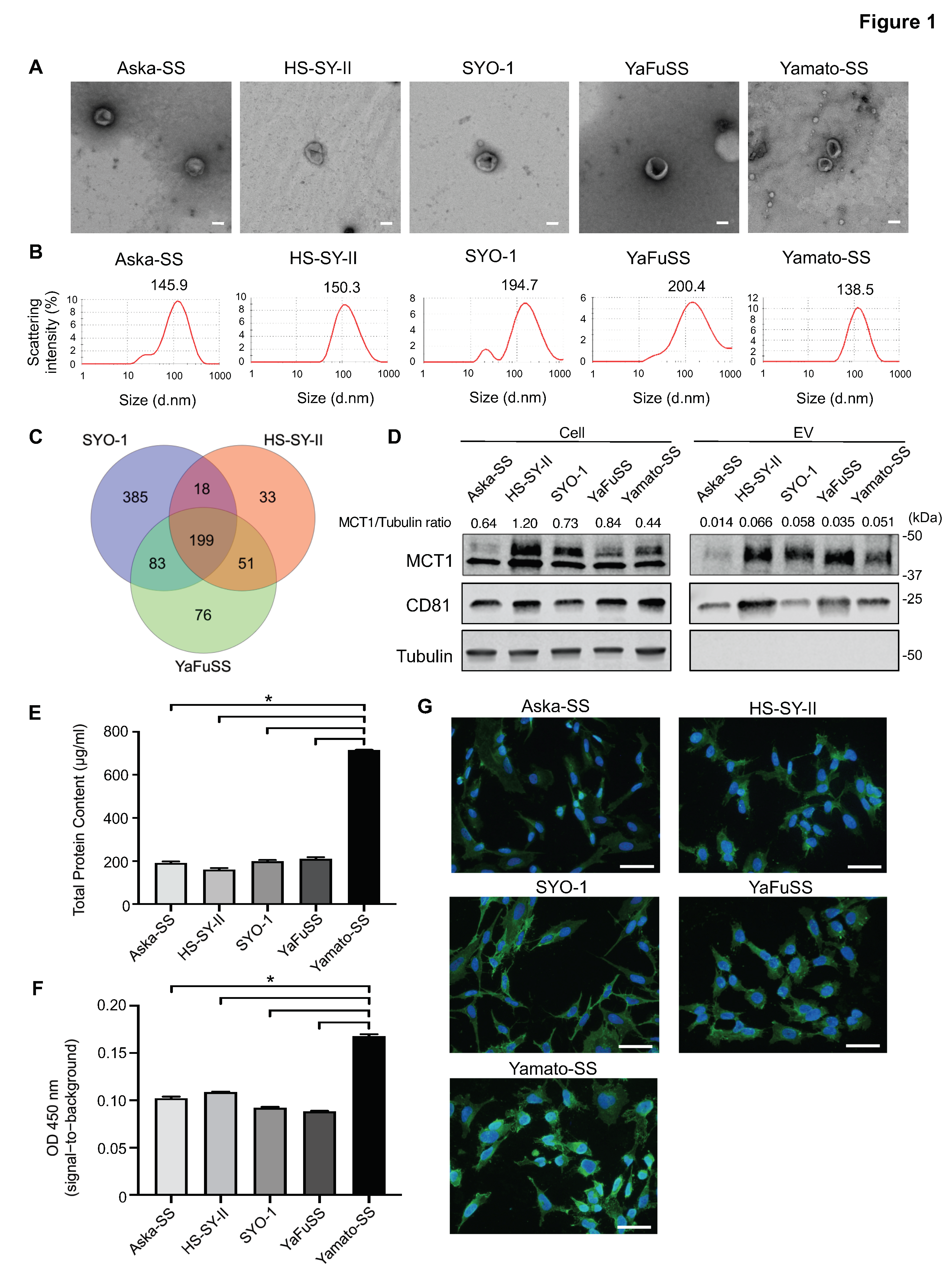 Cancers 13 01823 g001 Cancers 13 01823 g001