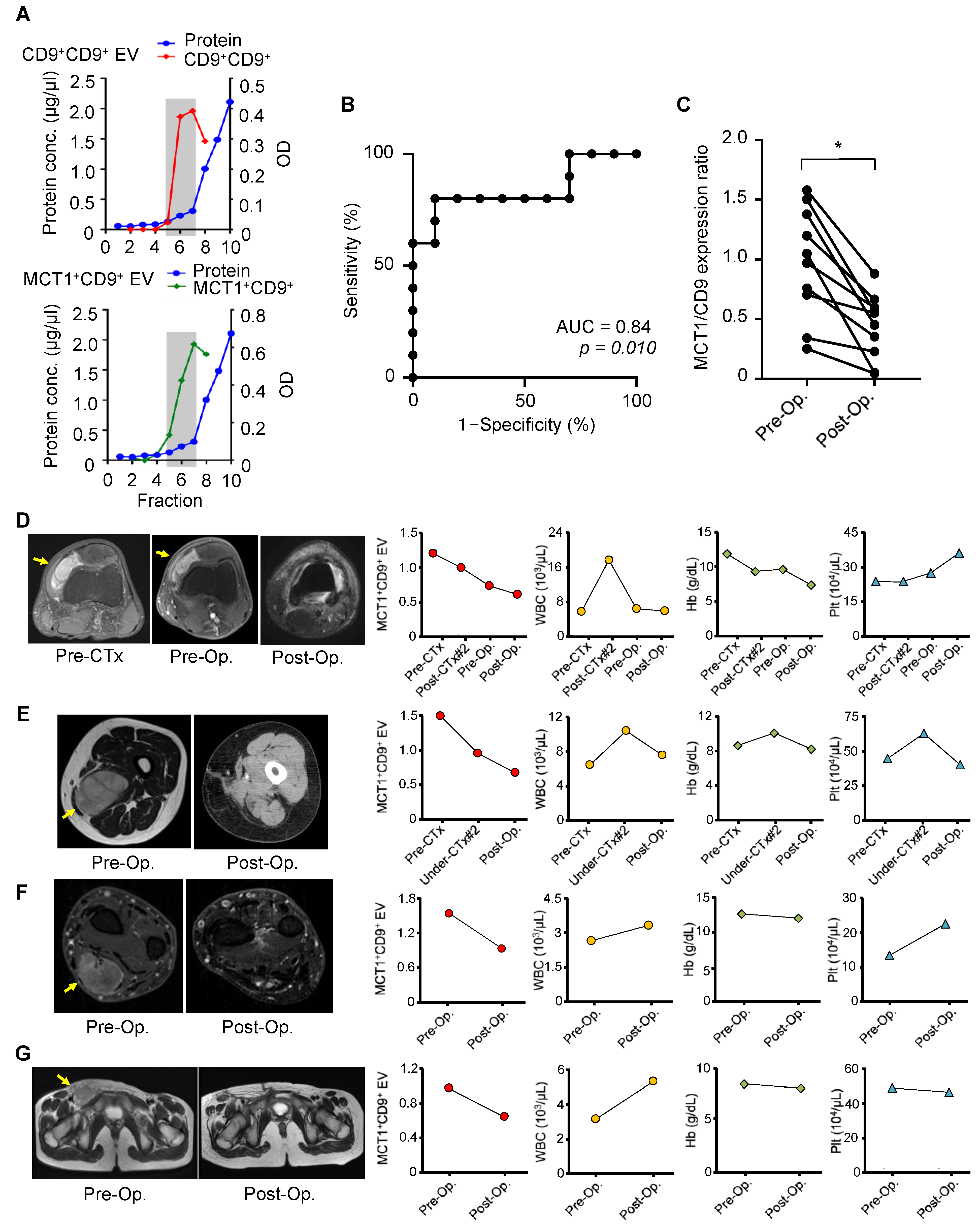 Cancers 13 01823 g003 Cancers 13 01823 g003