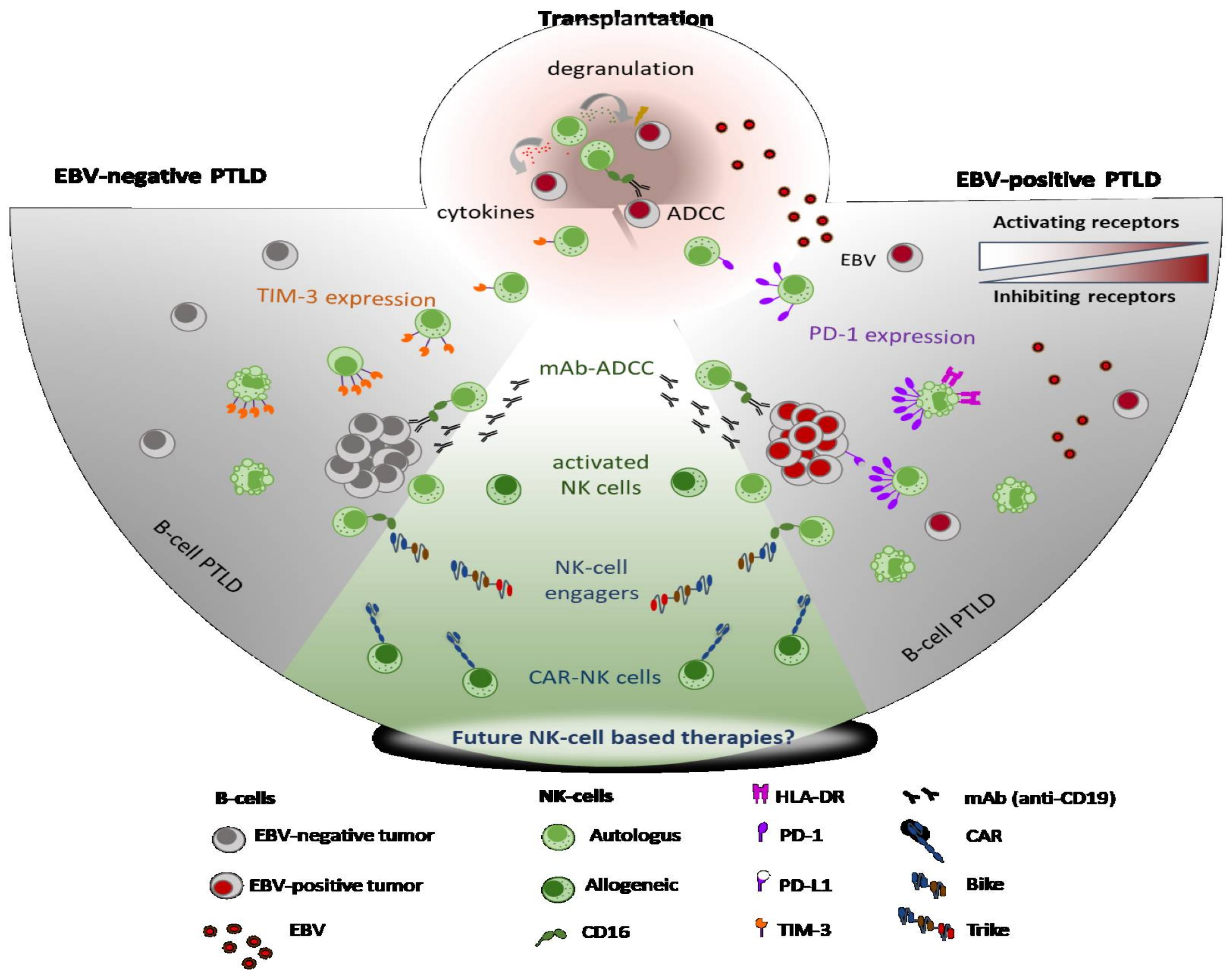 Cancers 13 01836 g001 Cancers 13 01836 g001
