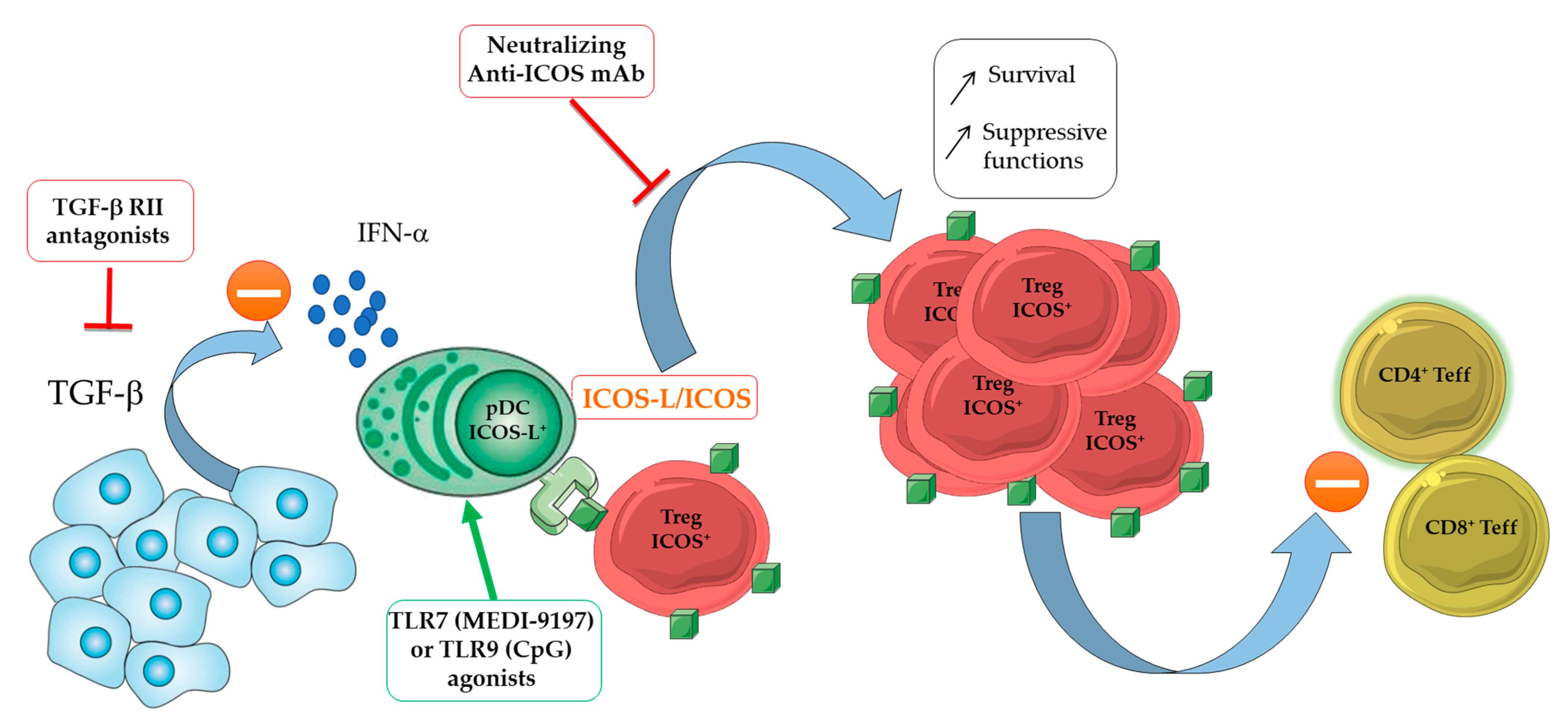 Cancers 13 01850 g004