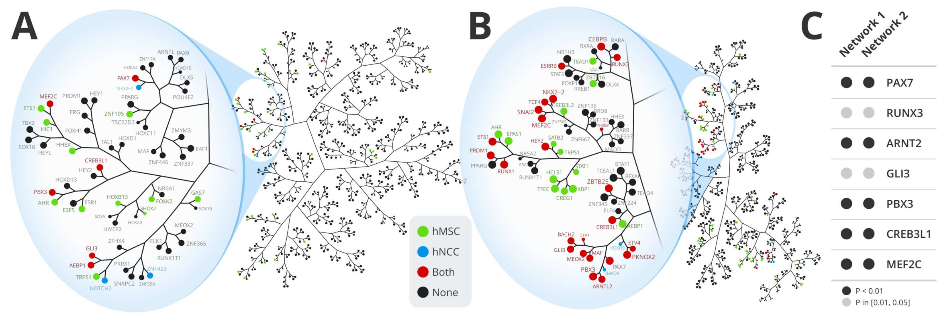 Cancers 13 01860 g001 Cancers 13 01860 g001