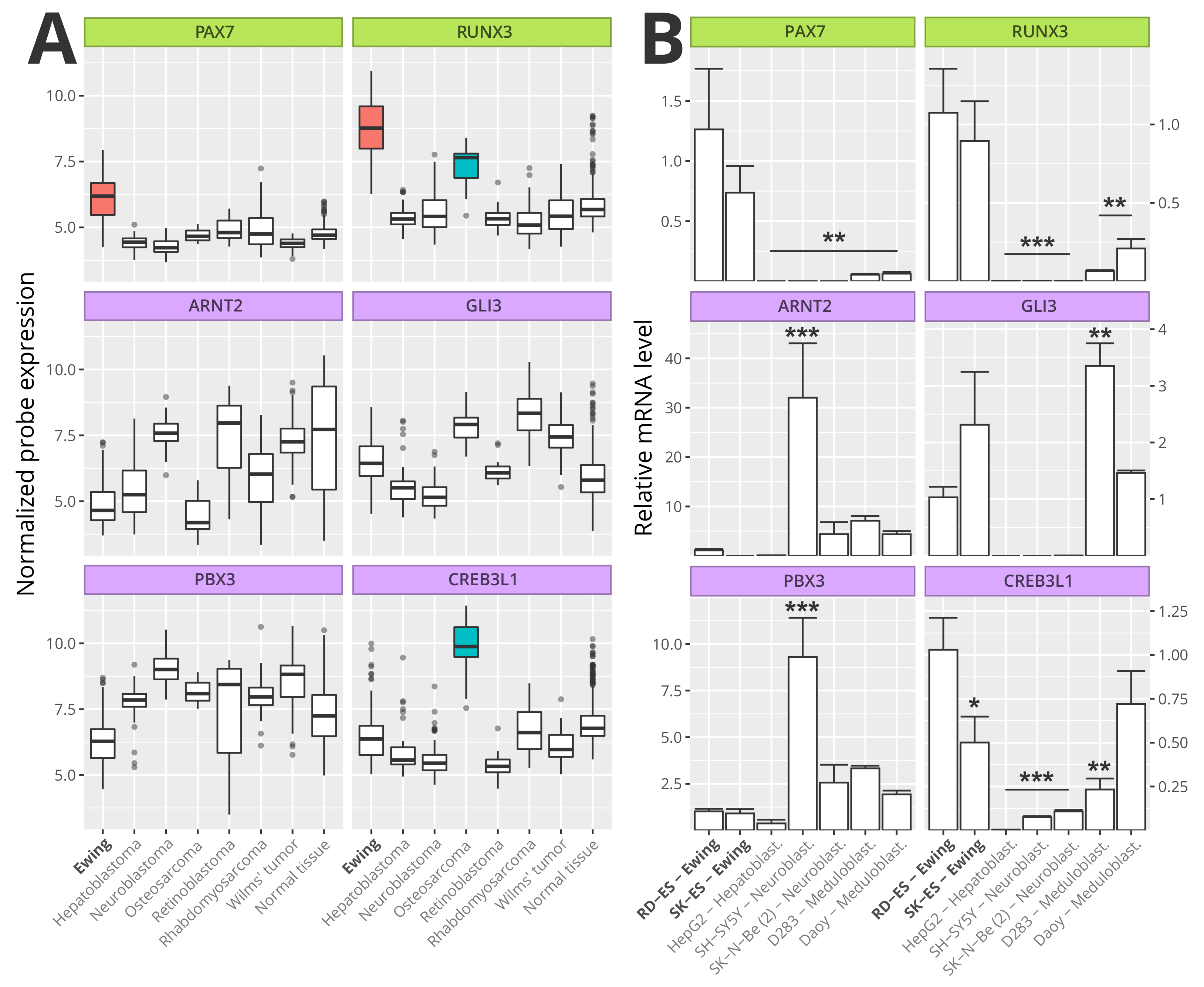 Cancers 13 01860 g006 Cancers 13 01860 g006