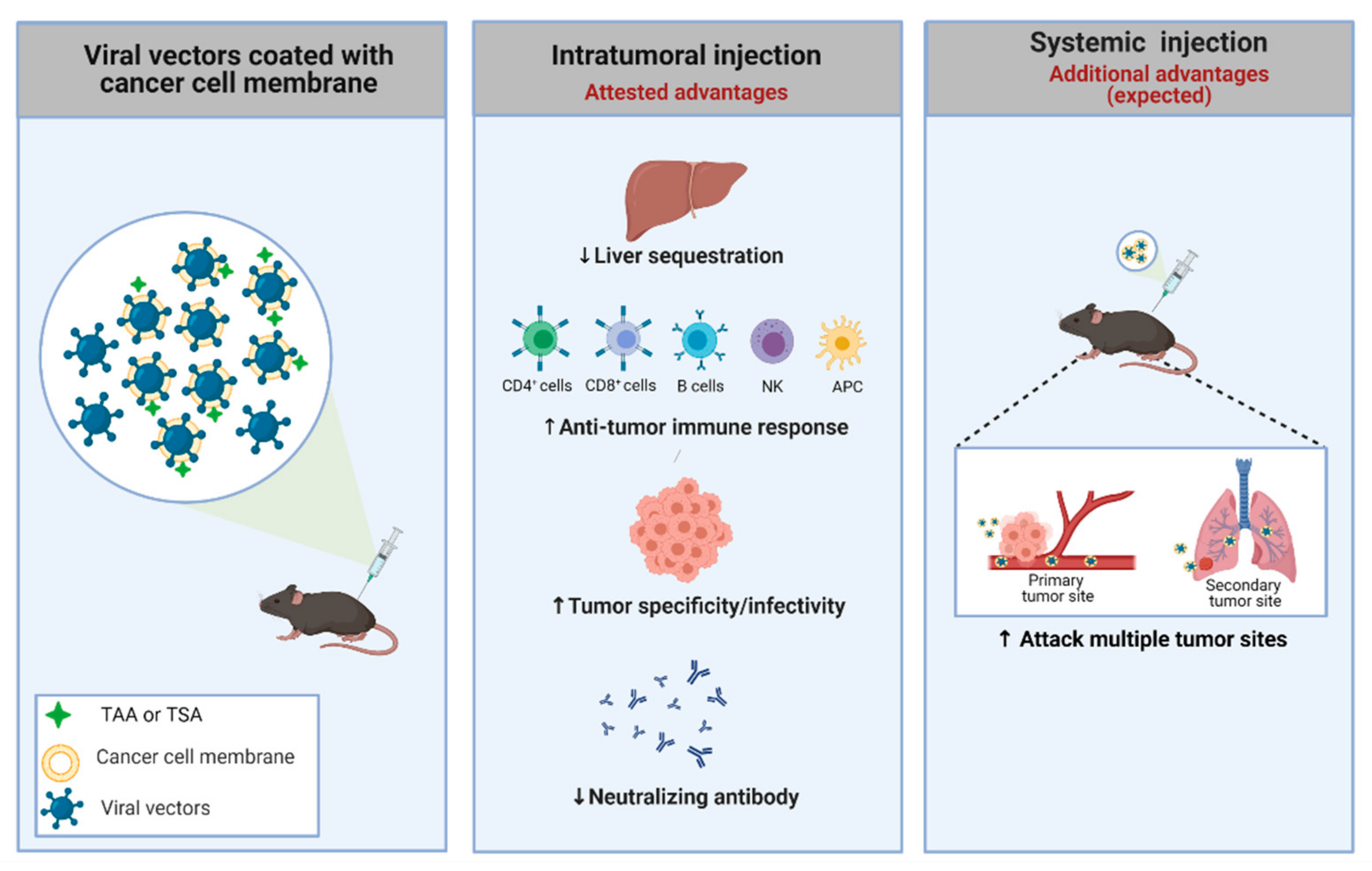 Cancers 13 01863 g002 Cancers 13 01863 g002