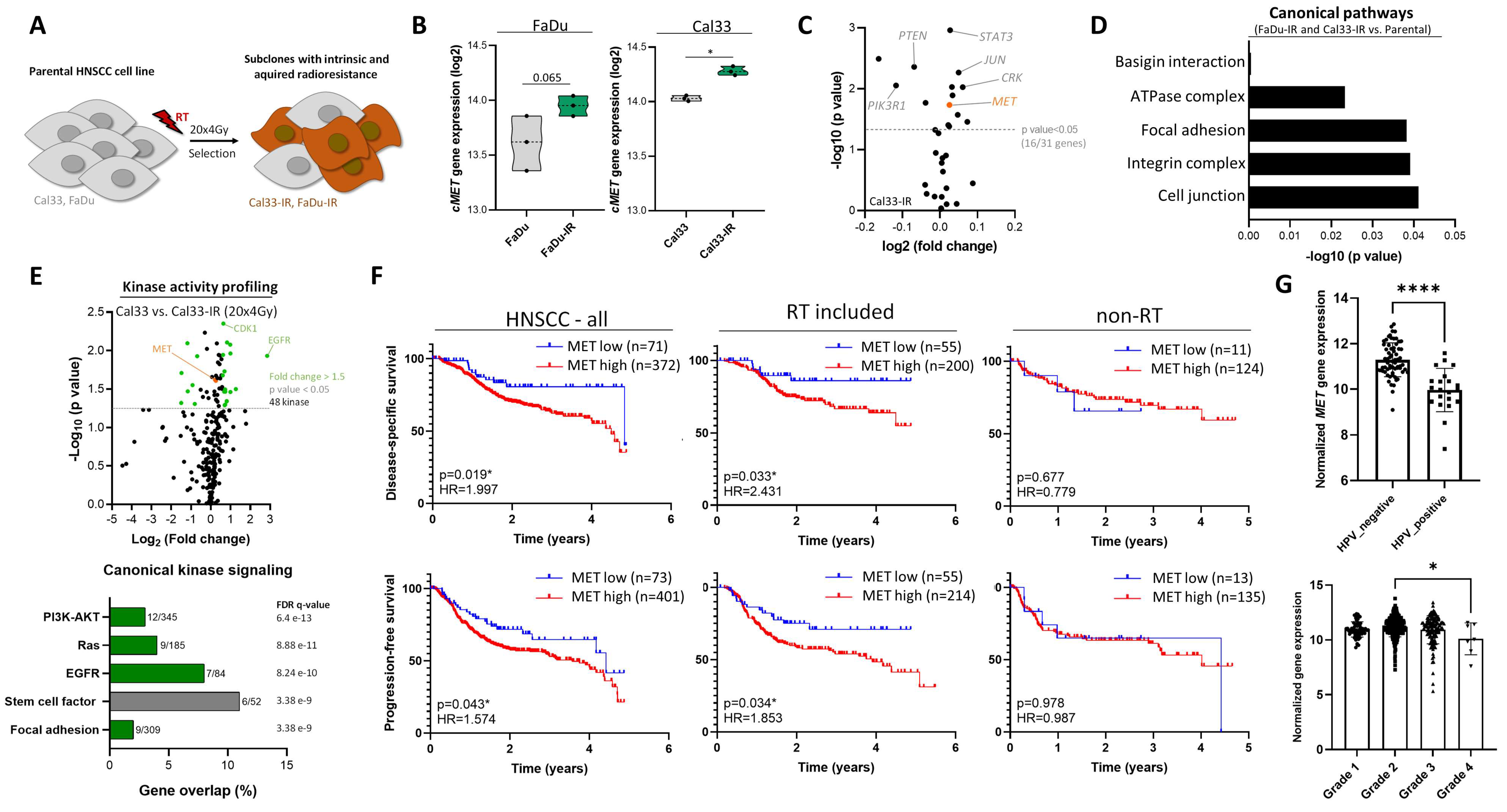 Cancers 13 01865 g001