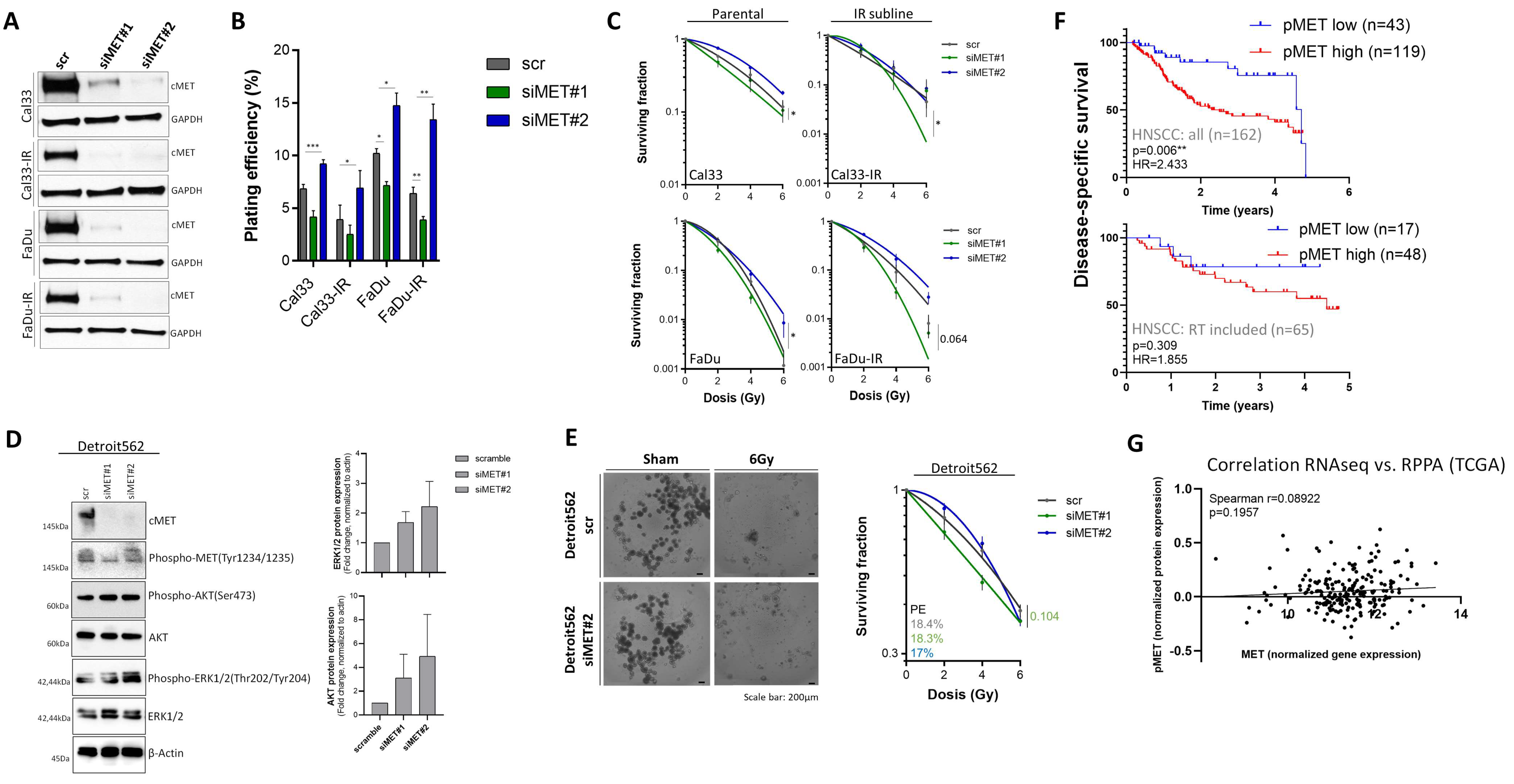 Cancers 13 01865 g004