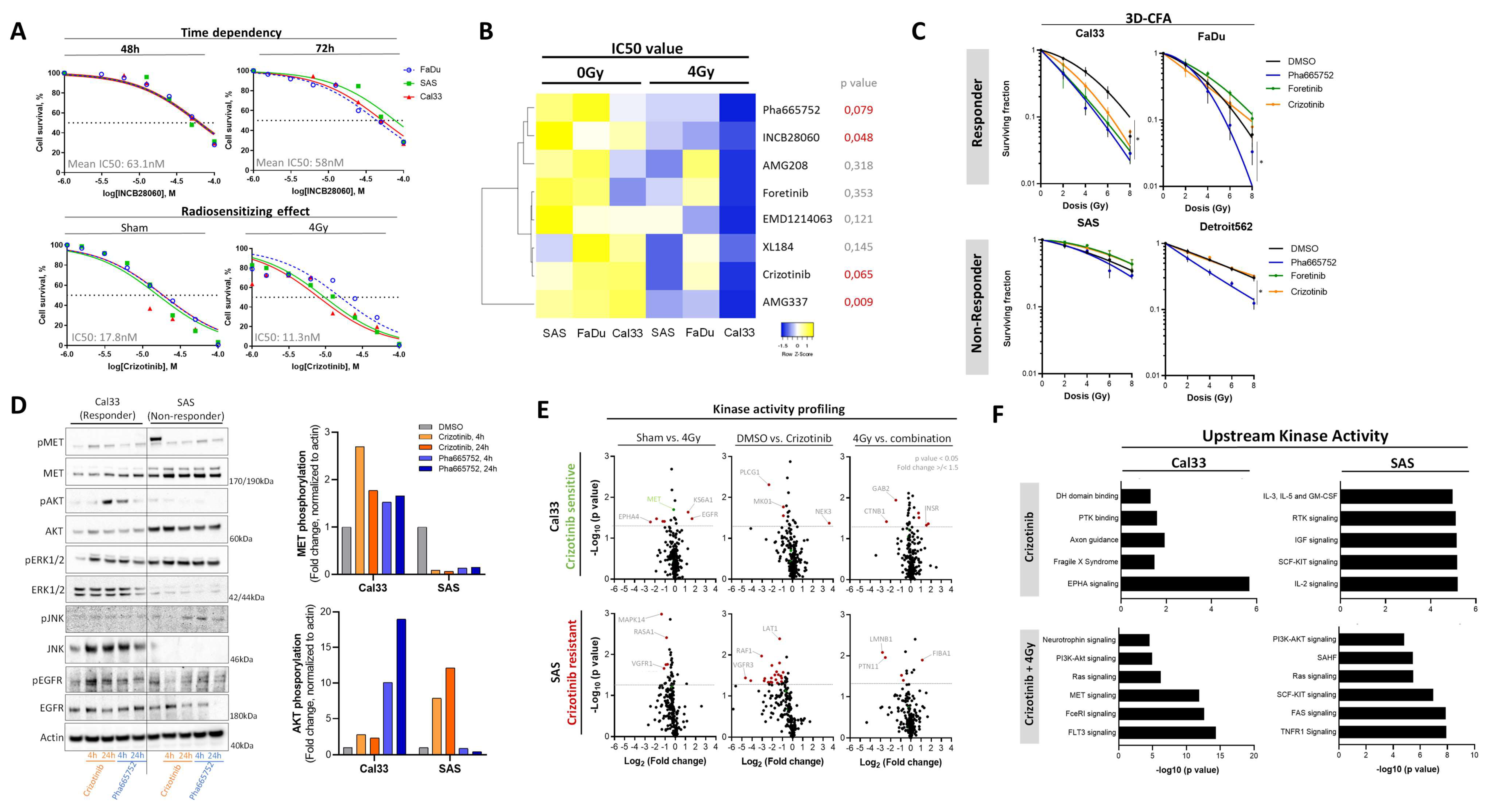 Cancers 13 01865 g005