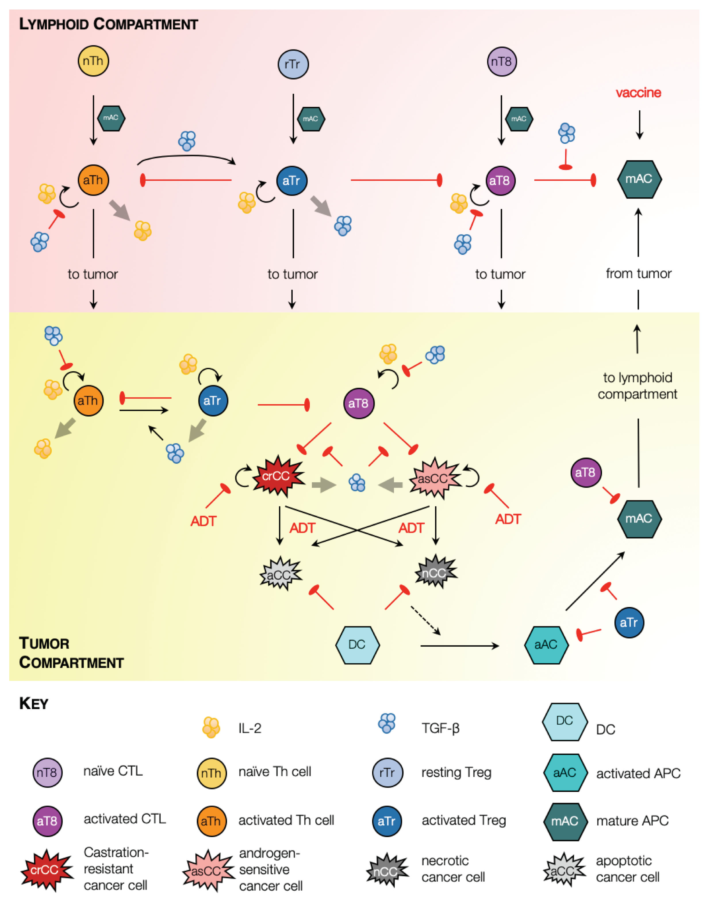 Cancers 13 01872 g001 Cancers 13 01872 g001