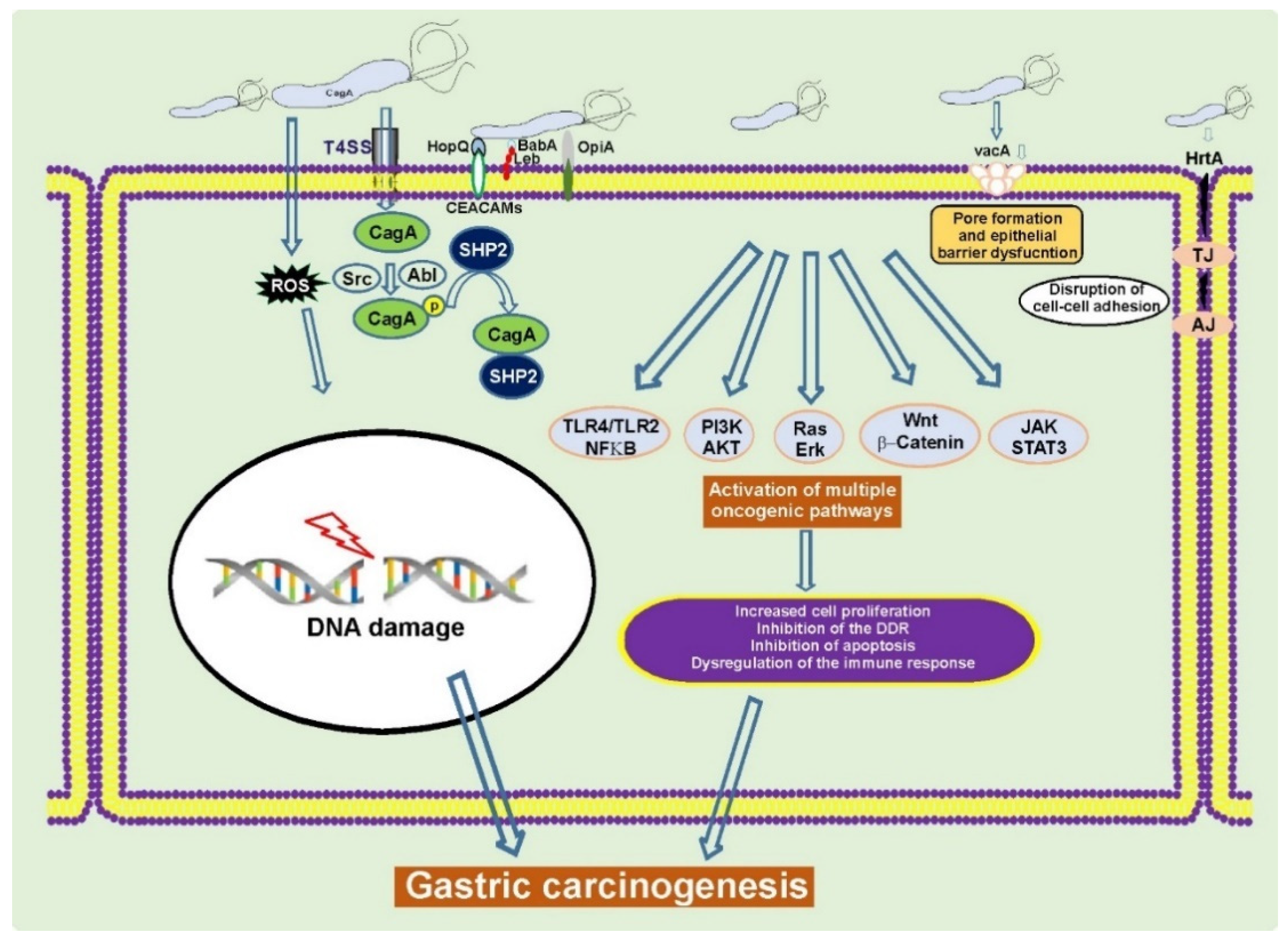 Cancers 13 01878 g001