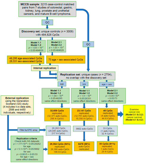 Cancers Free Full Text Epigenetic Drift Association With Cancer Risk And Survival And Modification By Sex Html