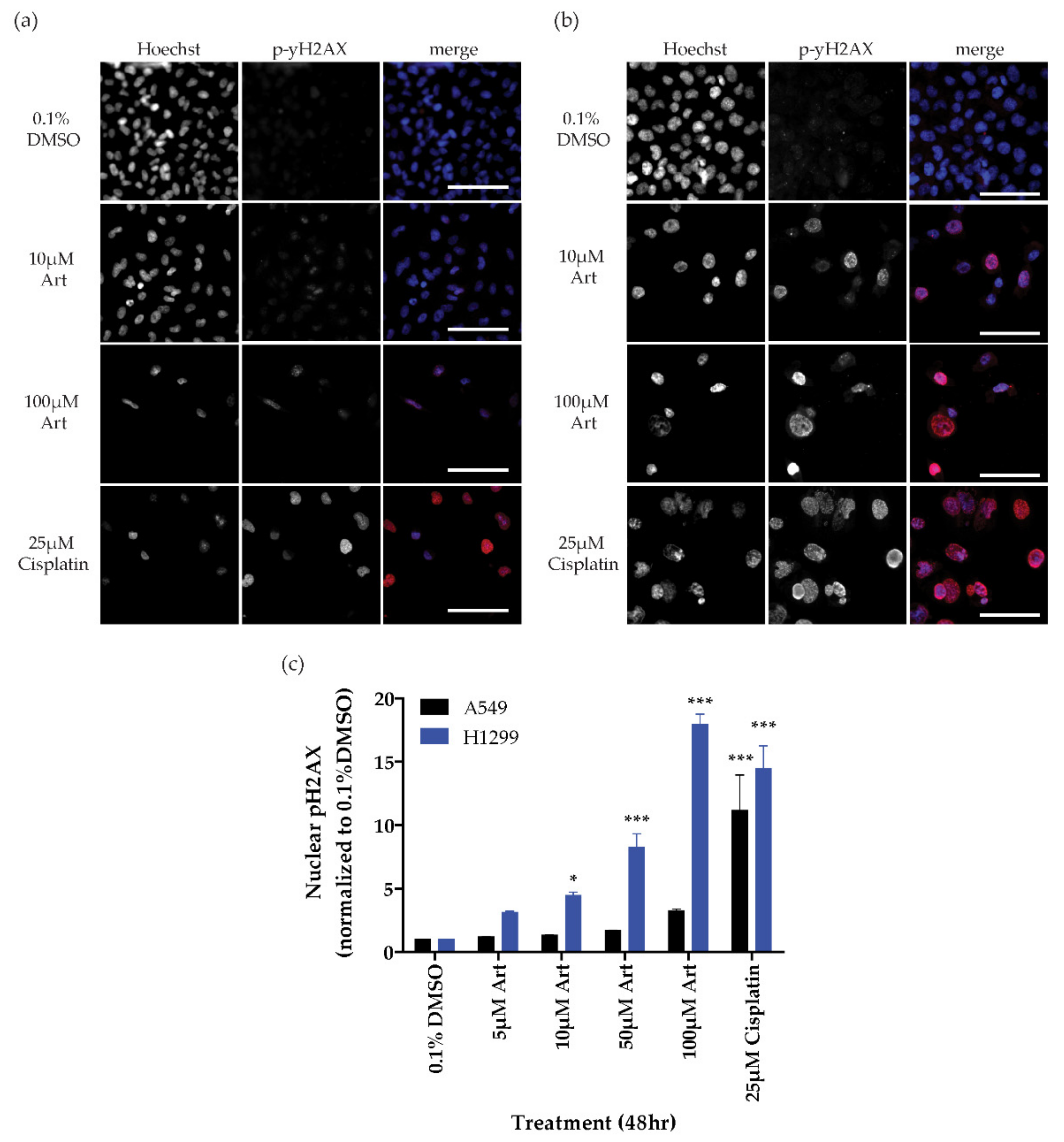 Cancers 13 01885 g002 Cancers 13 01885 g002