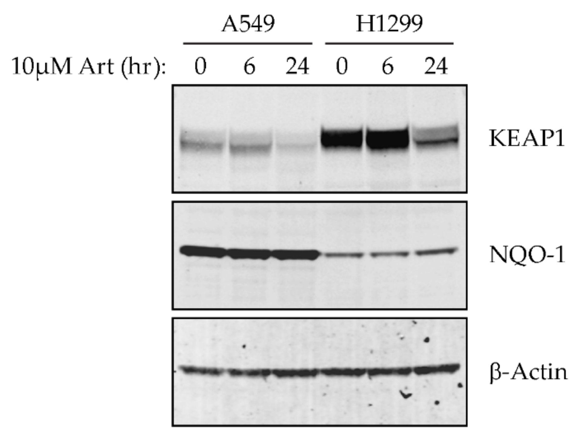 Cancers 13 01885 g003 Cancers 13 01885 g003