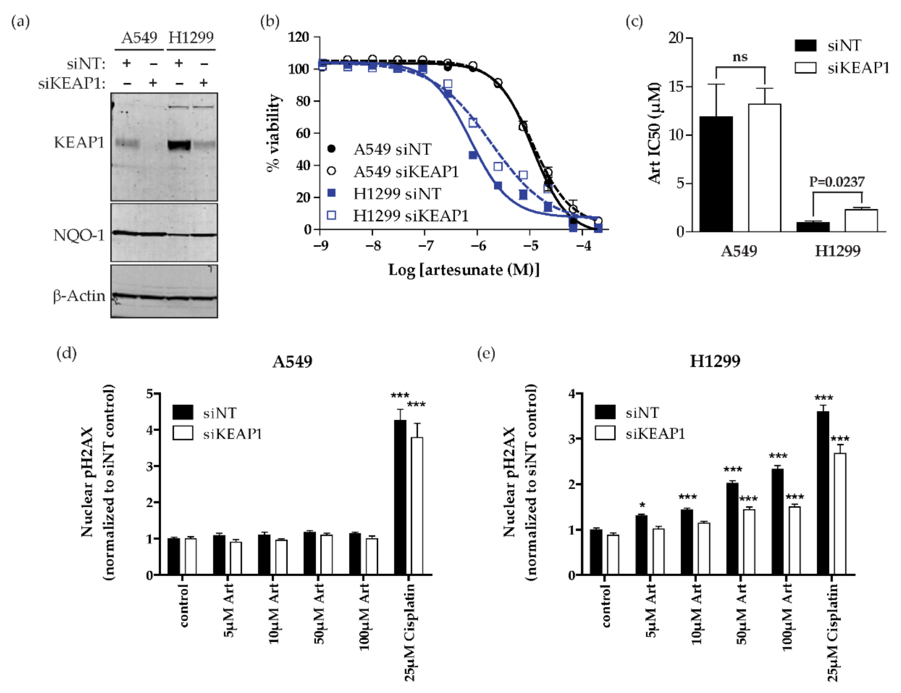 Cancers 13 01885 g004 Cancers 13 01885 g004
