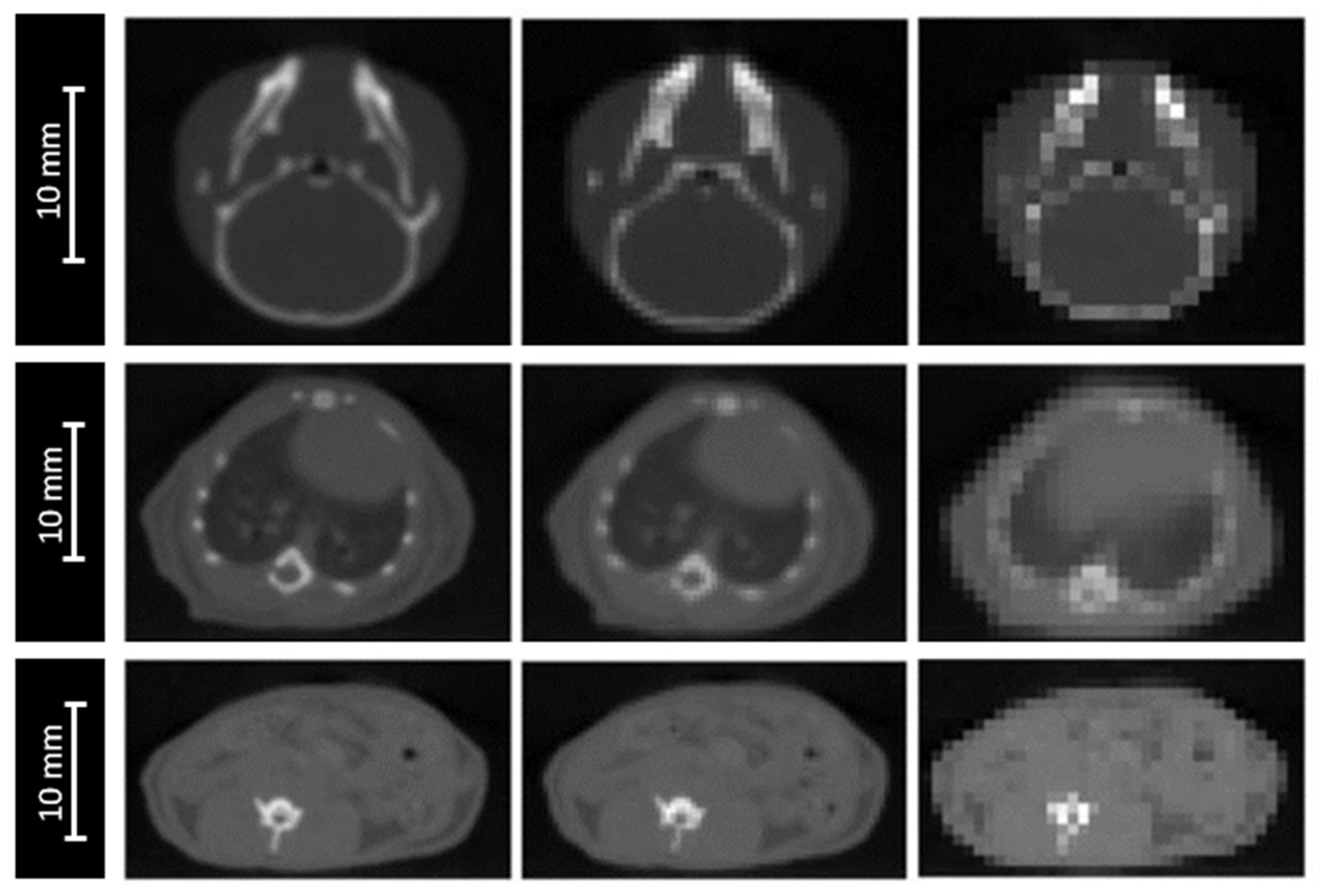 Cancers 13 01889 g003