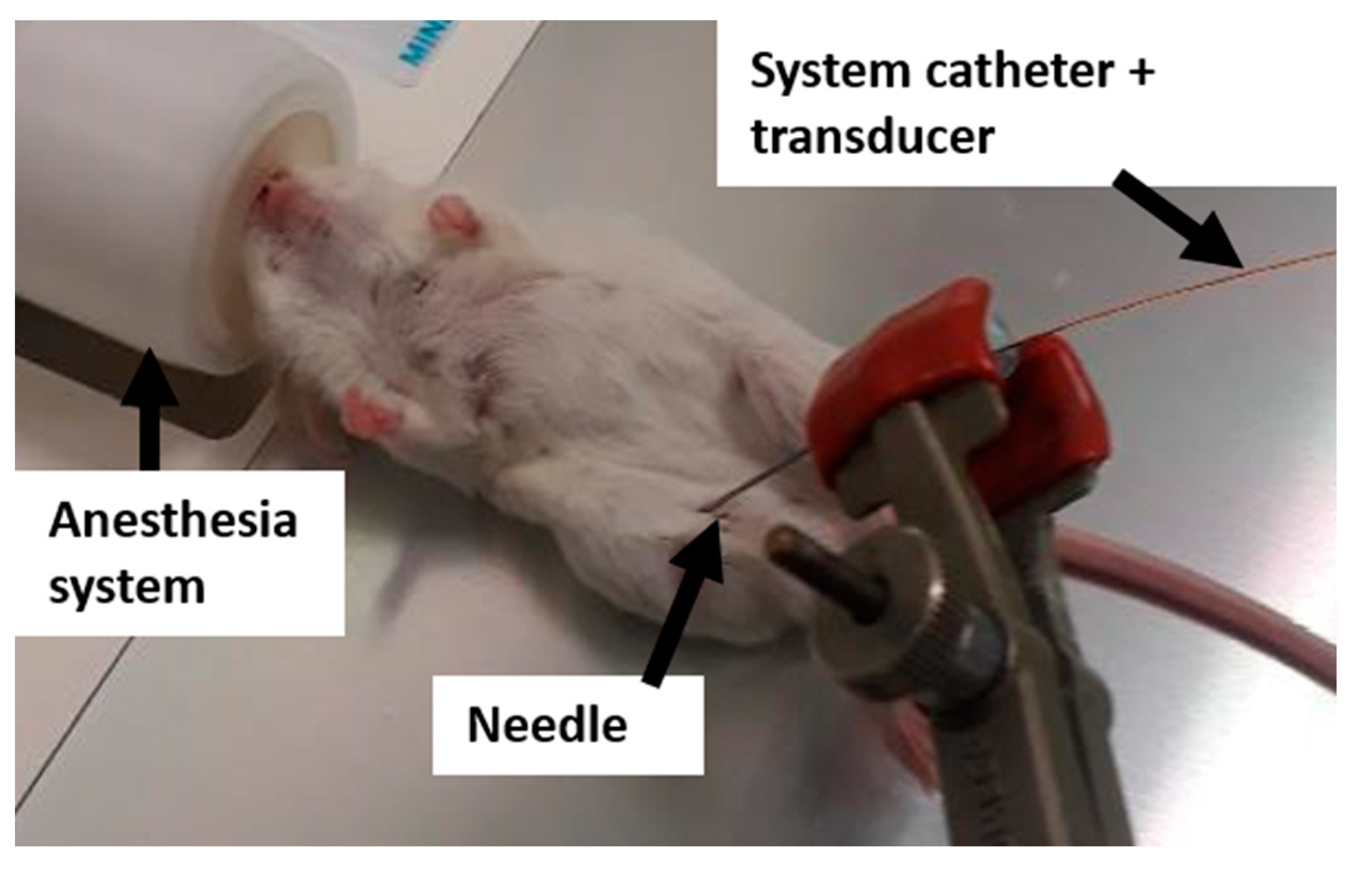 Cancers 13 01891 g004 Cancers 13 01891 g004