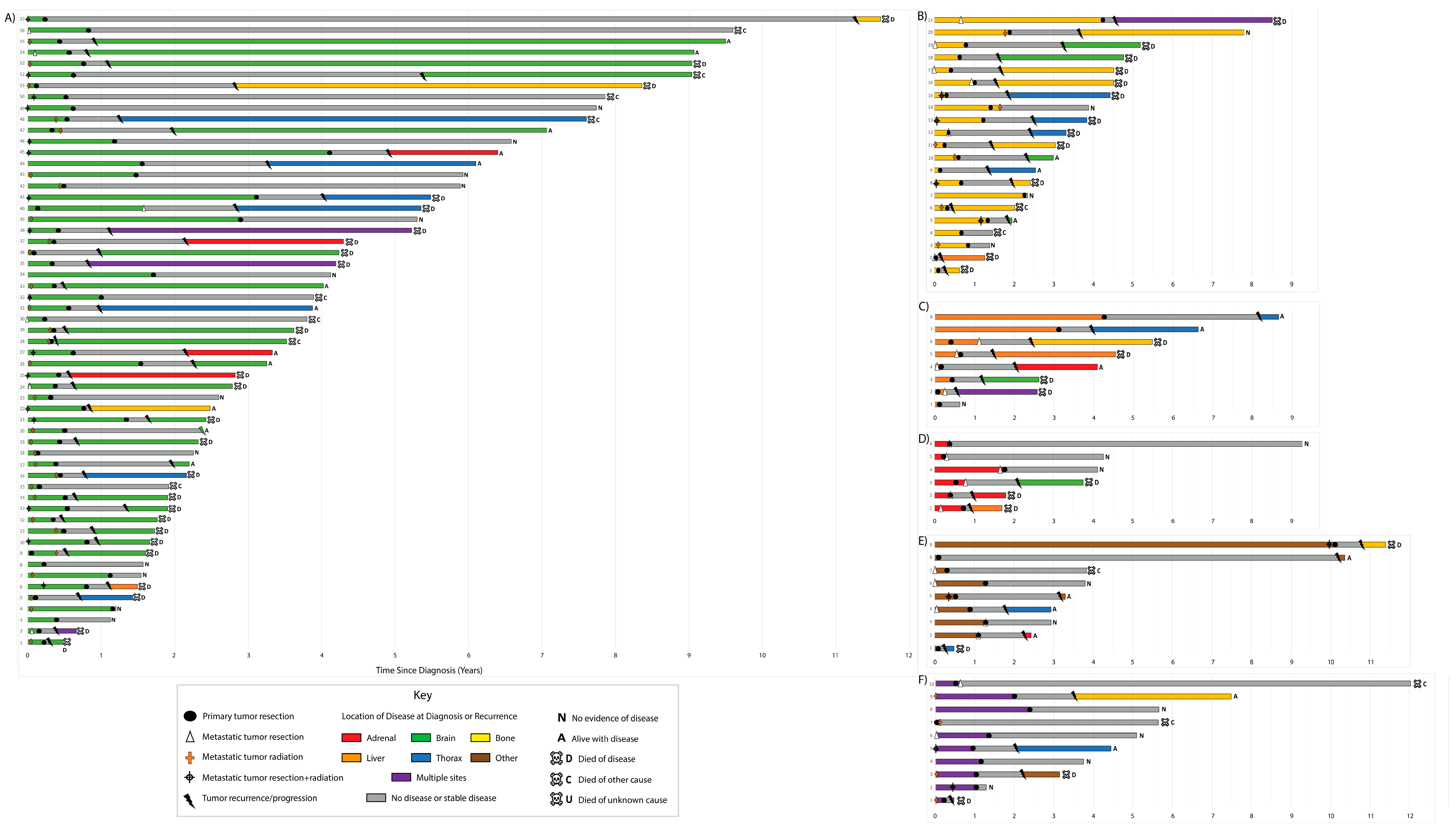 Cancers 13 01893 g001 Cancers 13 01893 g001