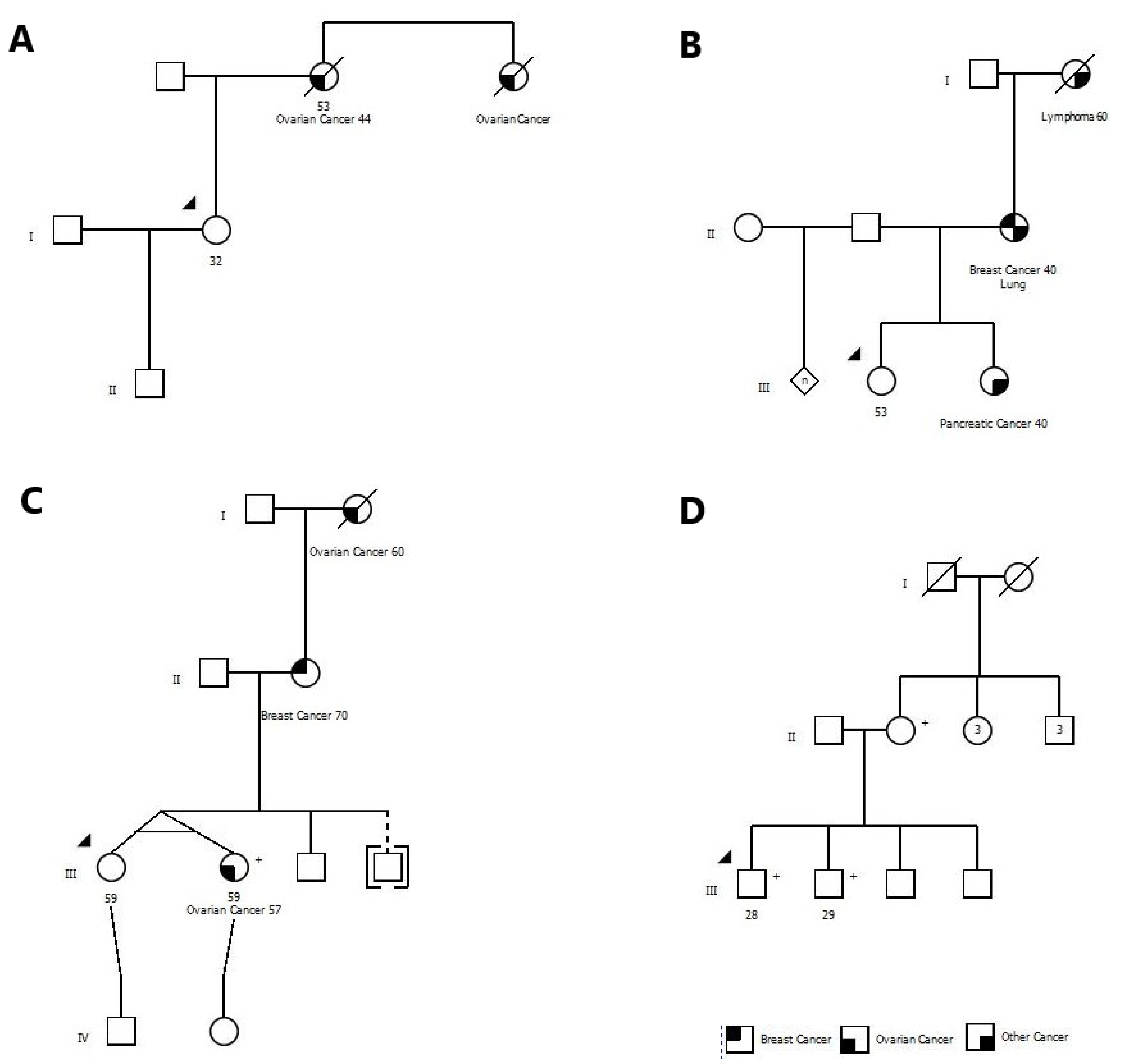 Cancers 13 01894 g001