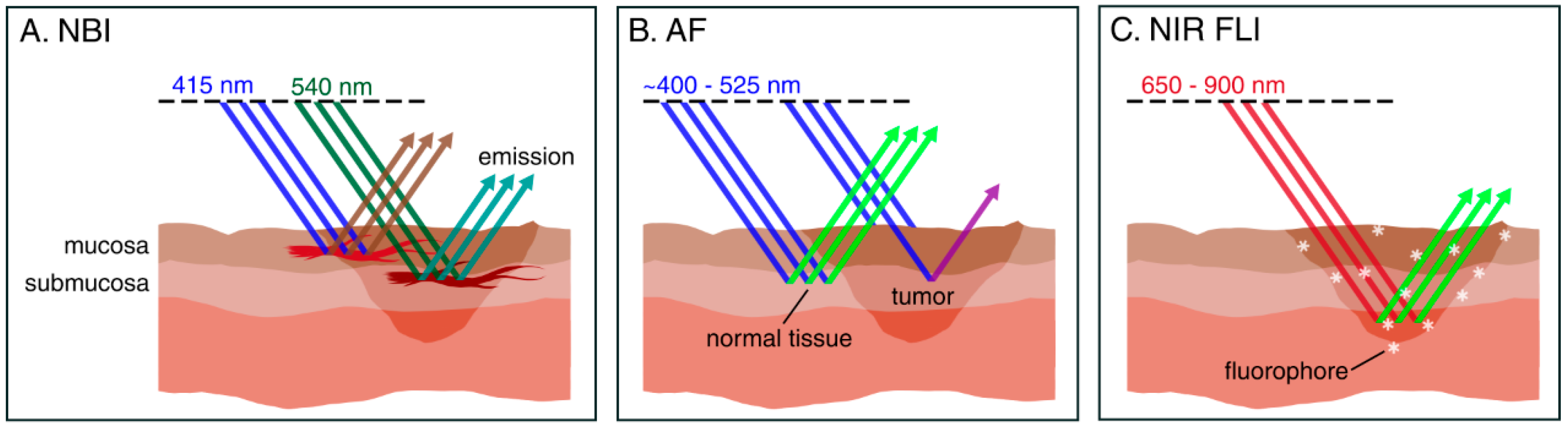 Cancers 13 01895 g001 Cancers 13 01895 g001
